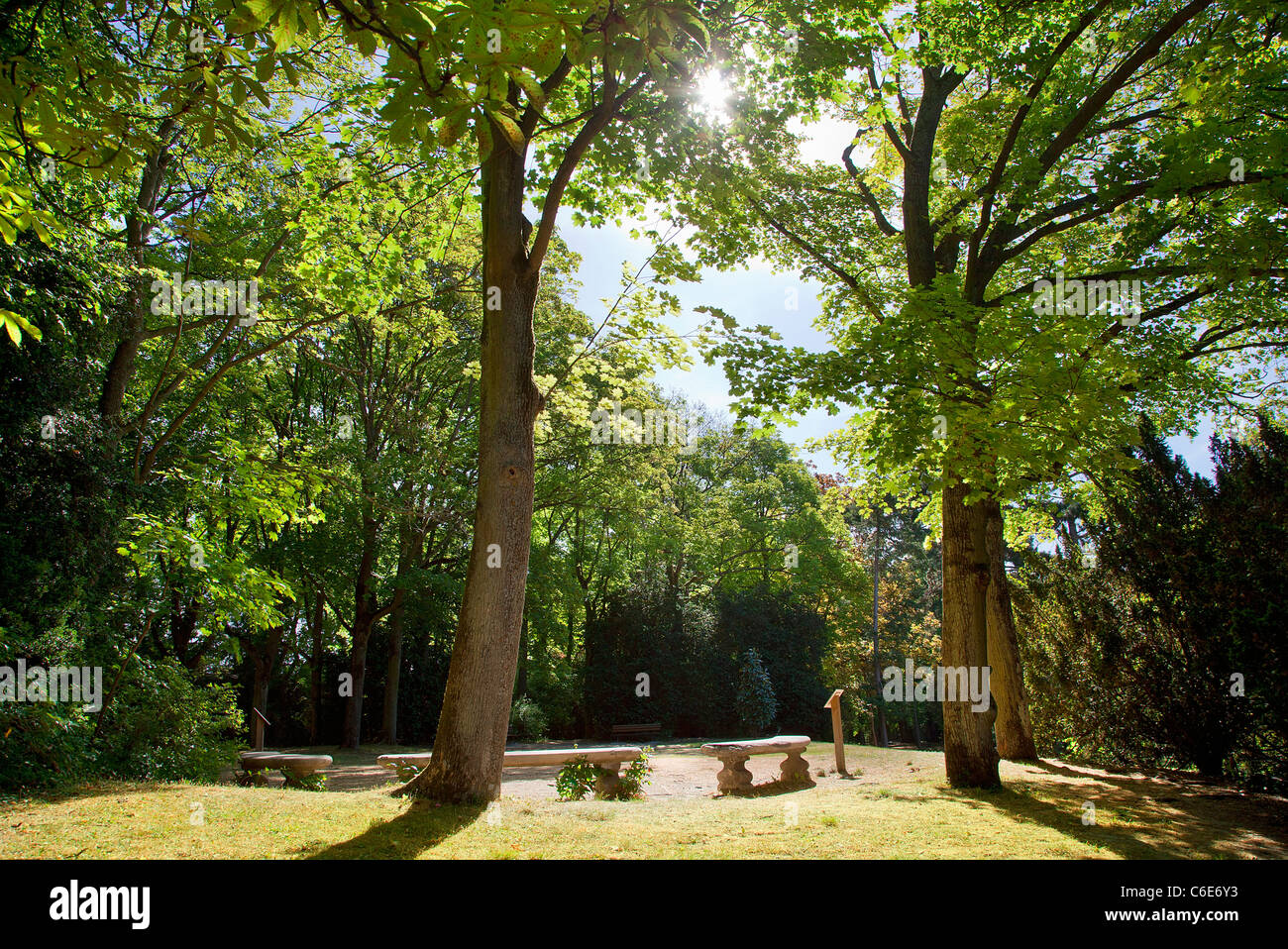 L'Europa, Francia, Marne, Reims, Pierre-Mendès-Francia Park Foto Stock