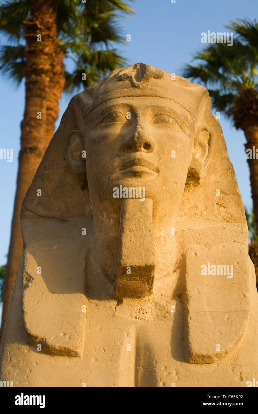 Uno della testa umana sfingi collocate lungo il viale di Sfingi a Luxor Tempio di Luxor, Egitto Foto Stock