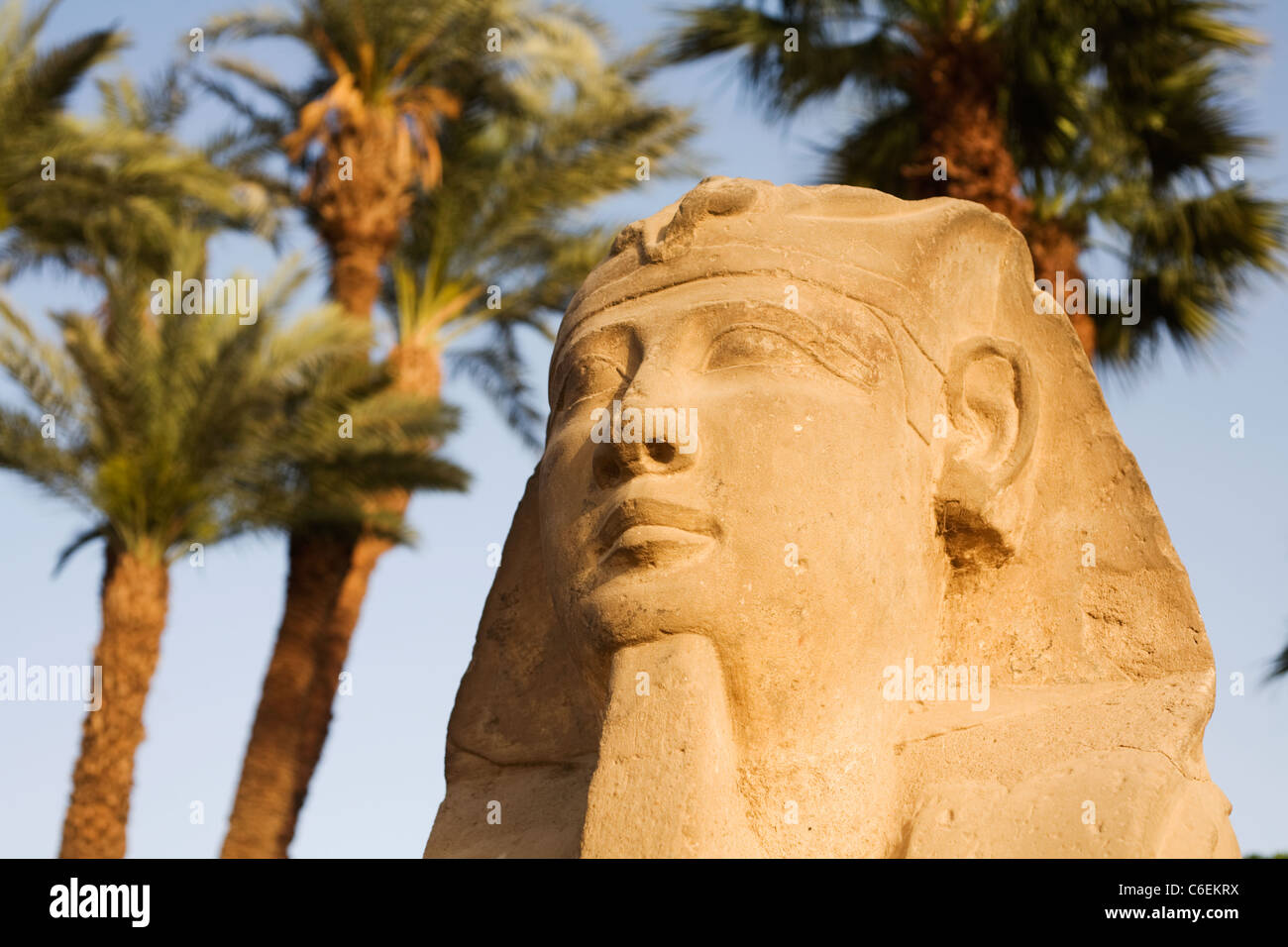 Uno della testa umana sfingi collocate lungo il viale di Sfingi a Luxor Tempio di Luxor, Egitto Foto Stock