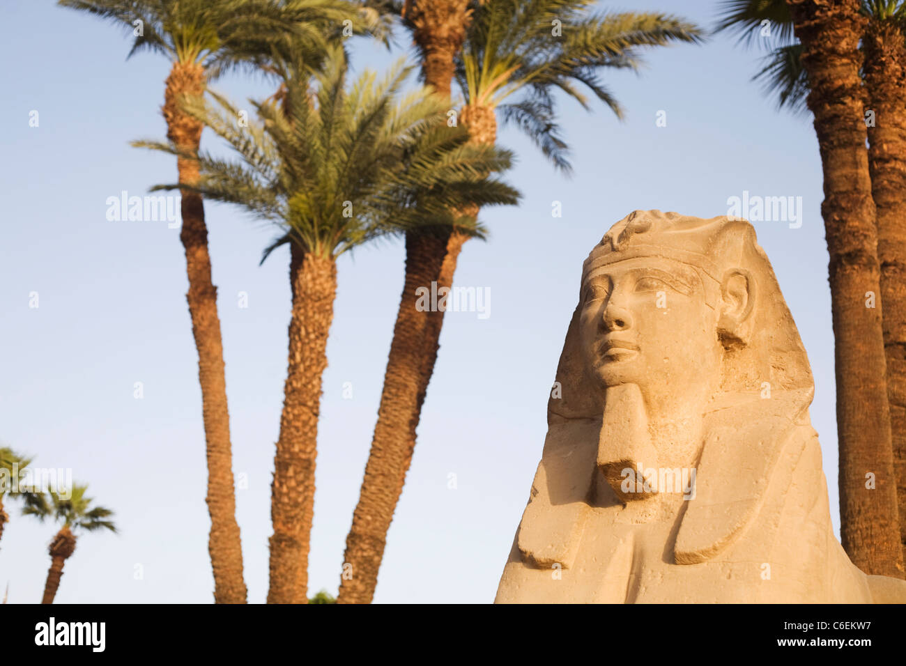 Uno della testa umana sfingi collocate lungo il viale di Sfingi a Luxor Tempio di Luxor, Egitto Foto Stock