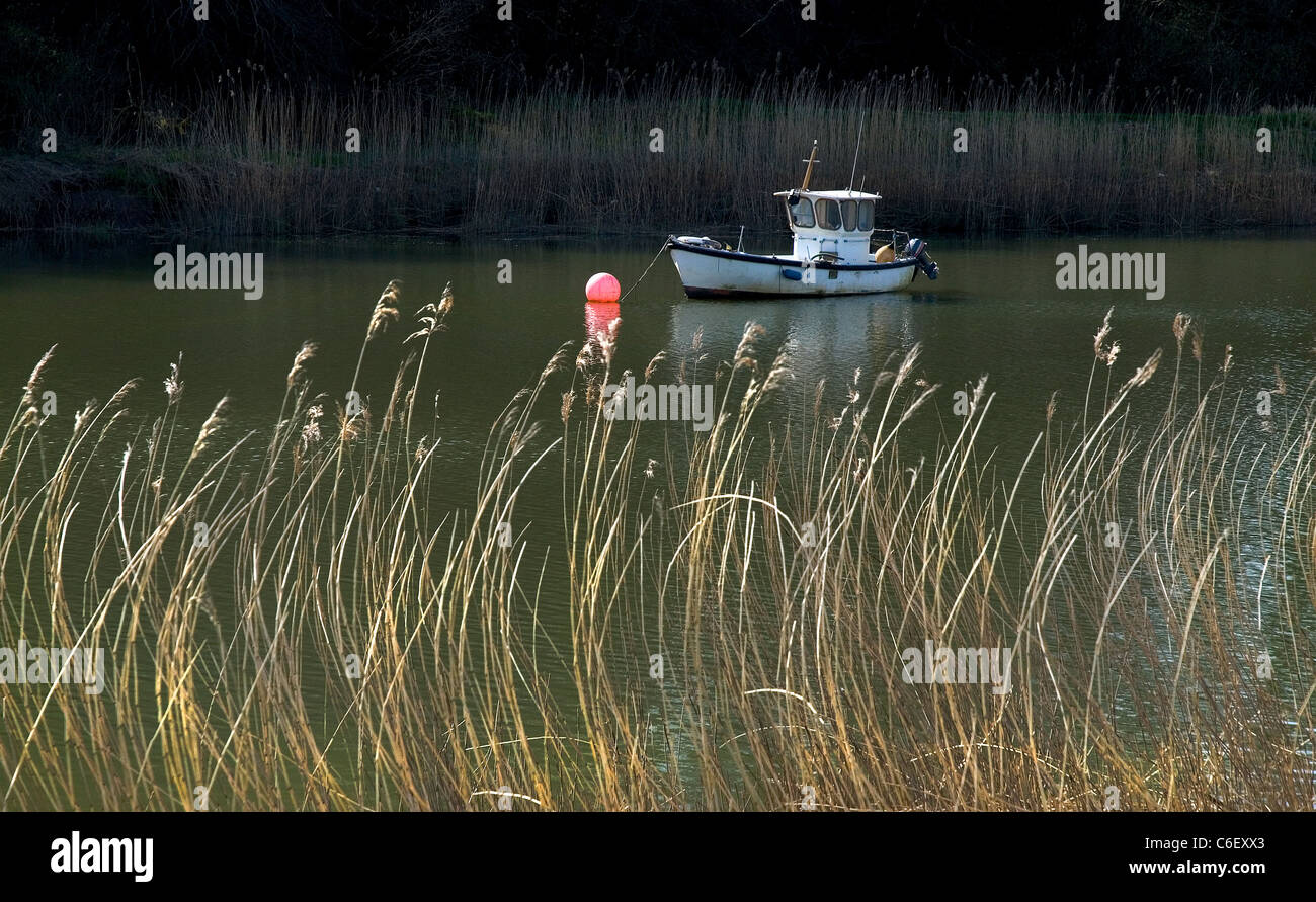 Posto barca sul fiume Tamar, Calstock, Cornwall. Foto Stock