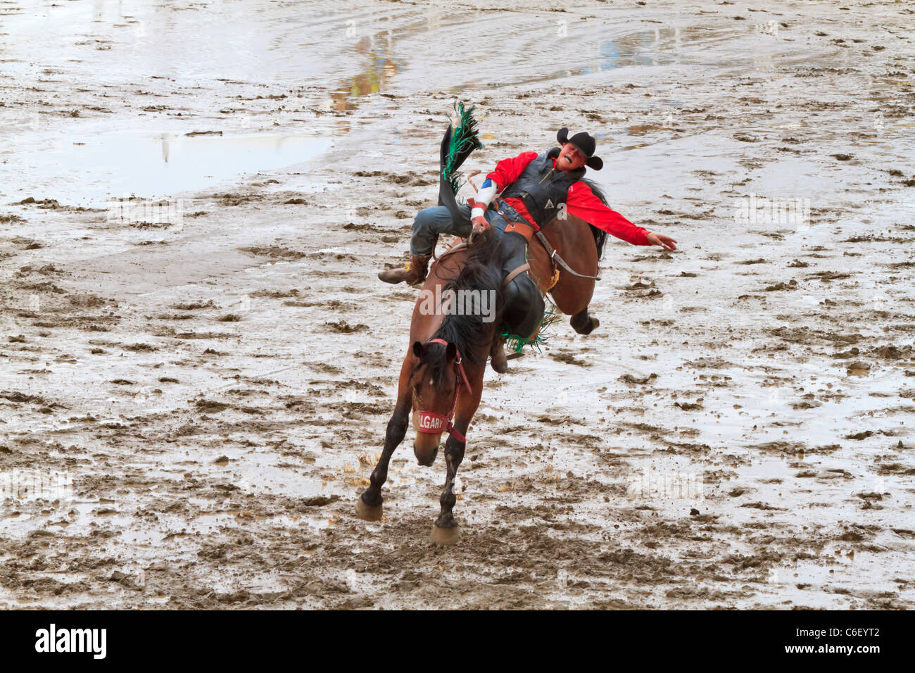 Bareback concorso al rodeo. Un giovane corse a cavallo selvaggio senza una sella per un conteggio di otto secondi. Foto Stock