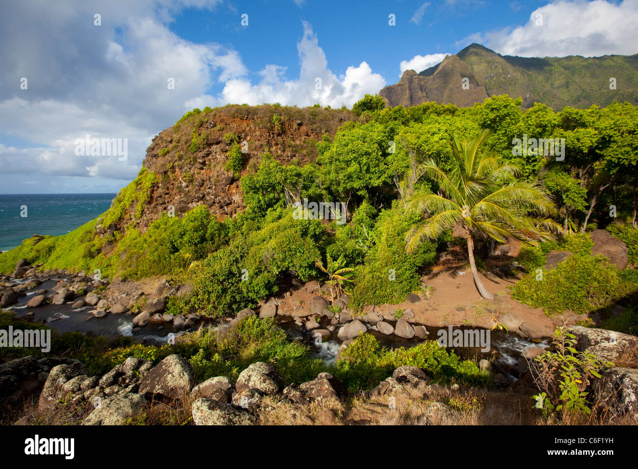 Kalalau Valley Stream, Costa Napali, Kauai, Hawaii Foto Stock