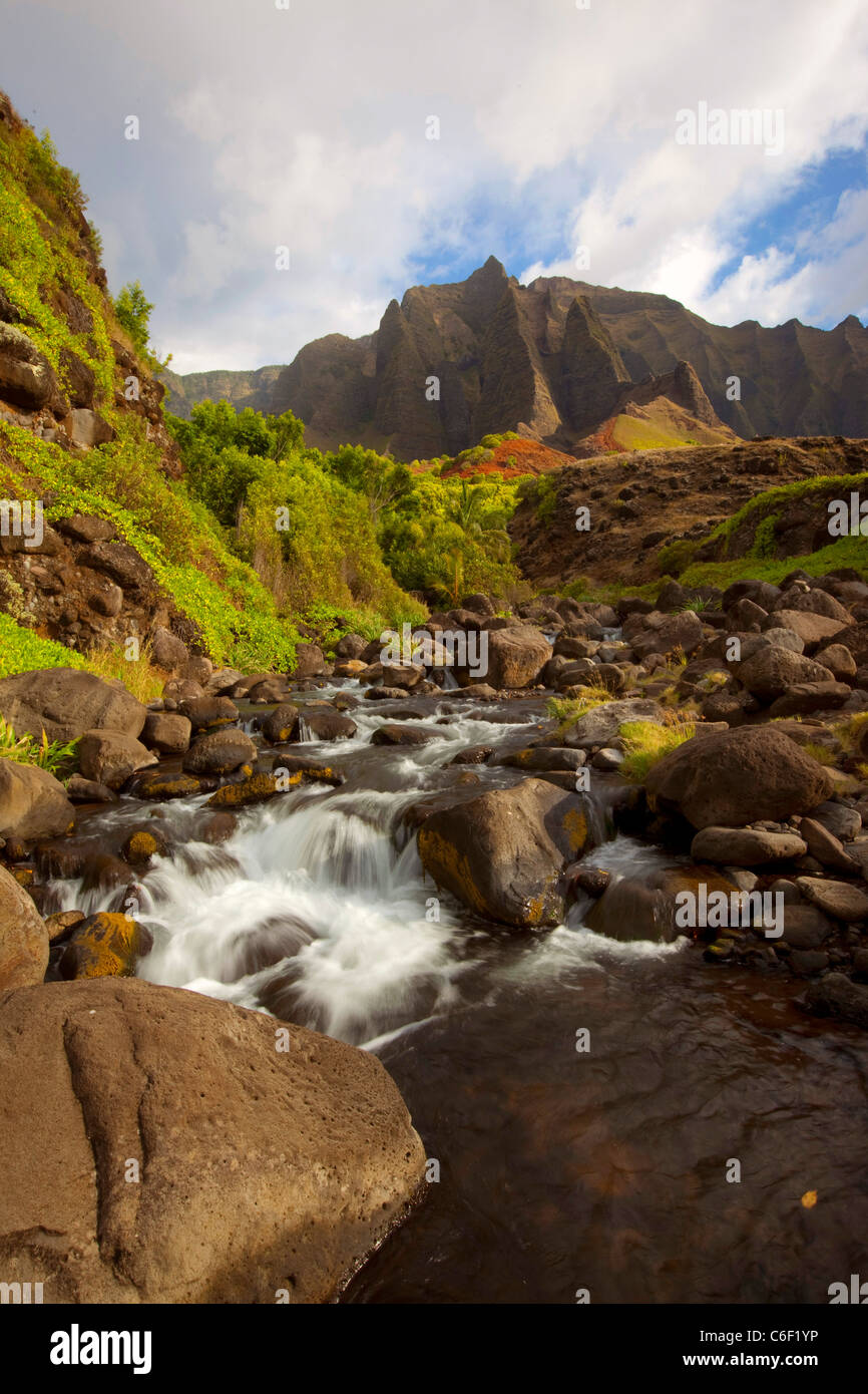 Kalalau Valley Stream, Costa Napali, Kauai, Hawaii Foto Stock