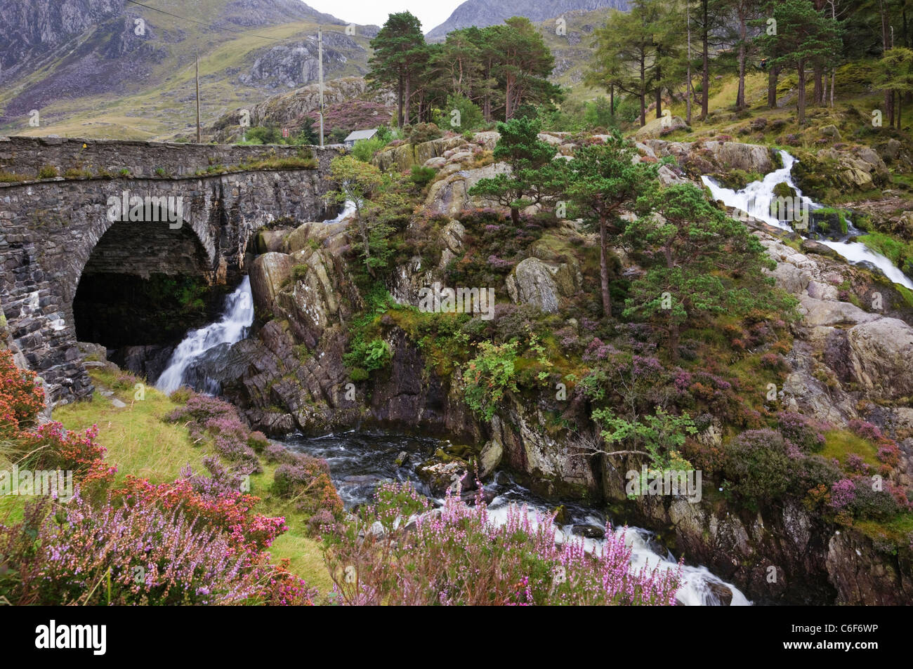 Cascata dal Pont Pen-y-benglog A5 ponte stradale sul Afon Ogwen fiume nel Parco Nazionale di Snowdonia Ogwen Conwy North Wales UK. Foto Stock