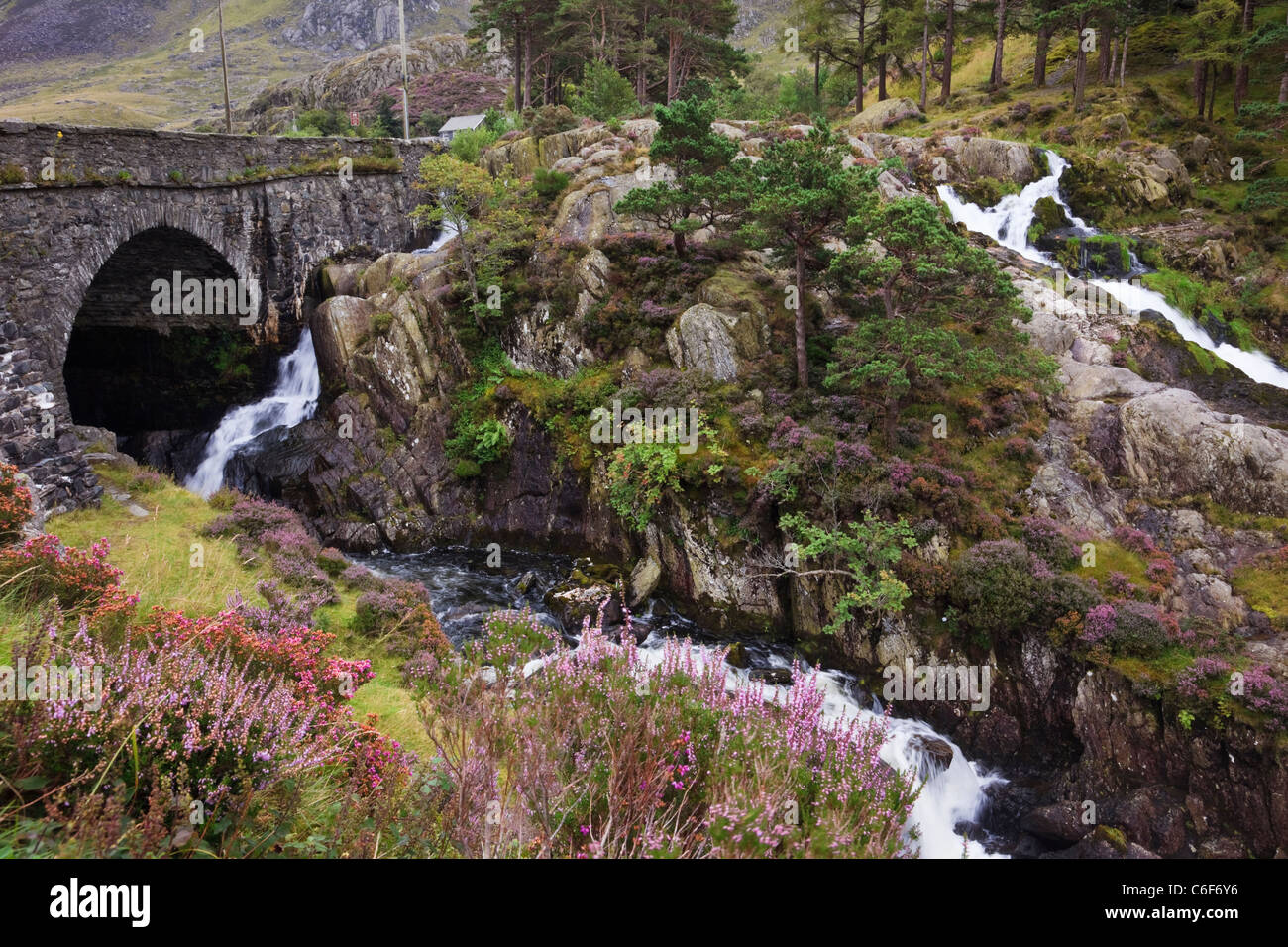 Cascata dal Pont Pen-y-benglog A5 ponte stradale sul Afon Ogwen fiume nel Parco Nazionale di Snowdonia Ogwen Conwy North Wales UK. Foto Stock