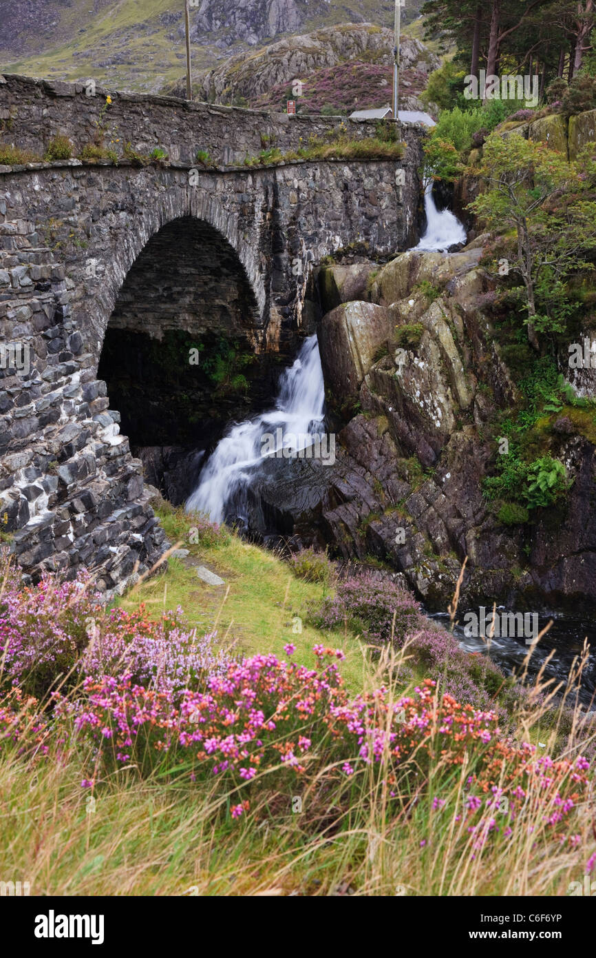 Cascata dal Pont Pen-y-benglog A5 ponte stradale sul Afon Ogwen fiume nel Parco Nazionale di Snowdonia Ogwen Conwy North Wales UK. Foto Stock