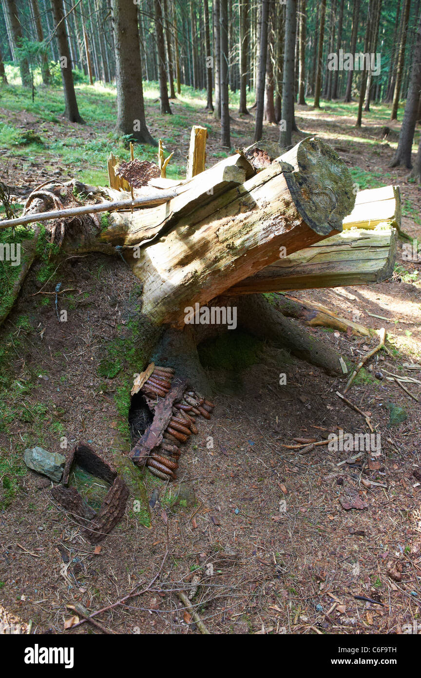 Casa in legno per la nana in foresta - costruire dai bambini - i bambini che giocano nella foresta Foto Stock