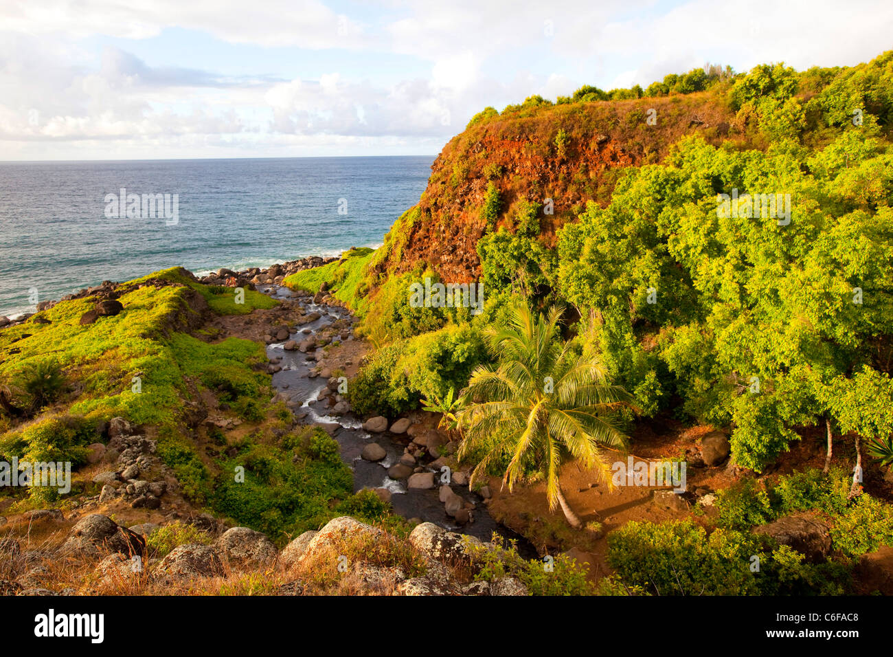 Kalalau Valley Stream, Costa Napali, Kauai, Hawaii Foto Stock