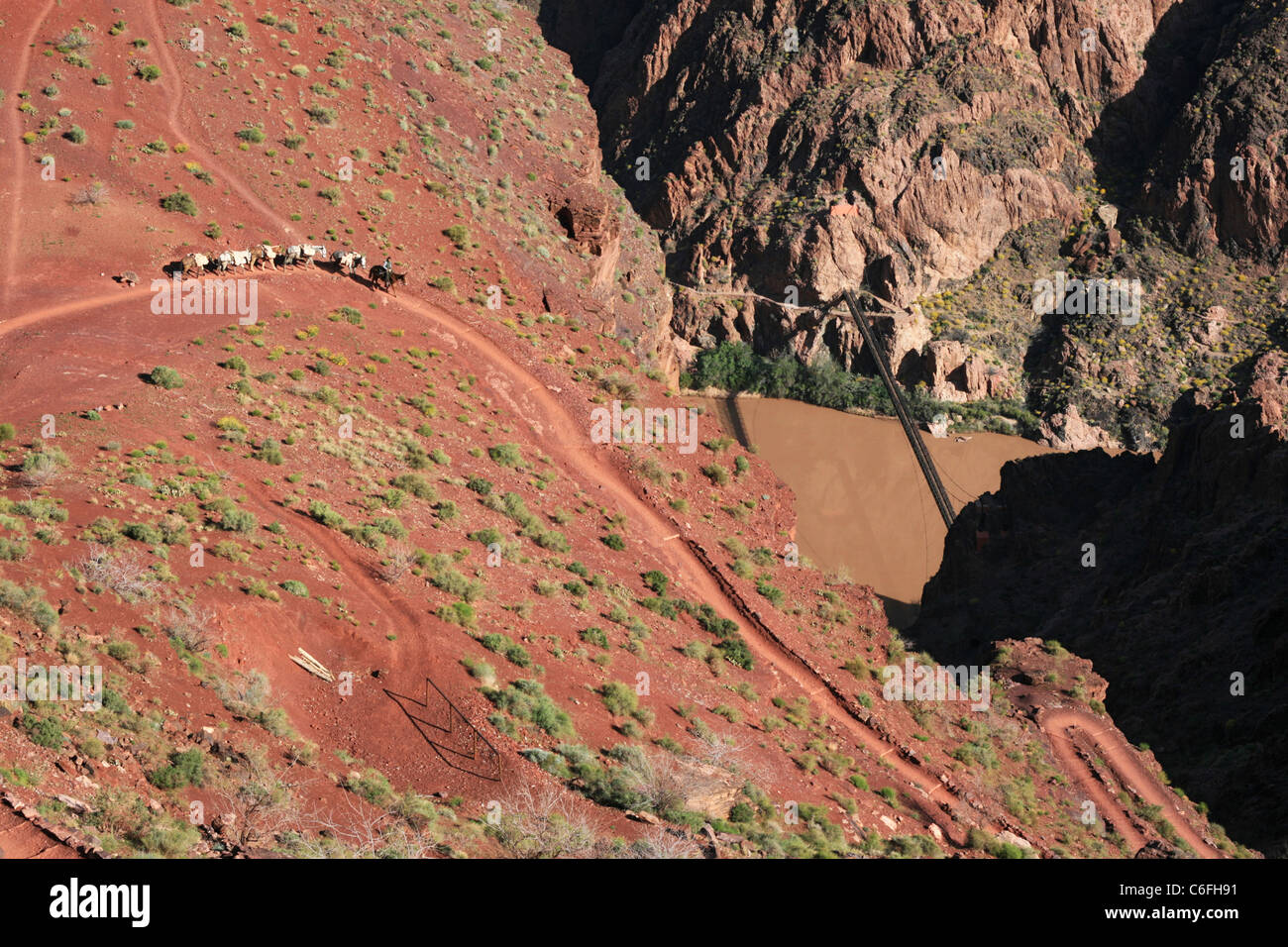 Un Grand Canyon mulo treno sulla parte inferiore South Kaibab Trail Foto Stock