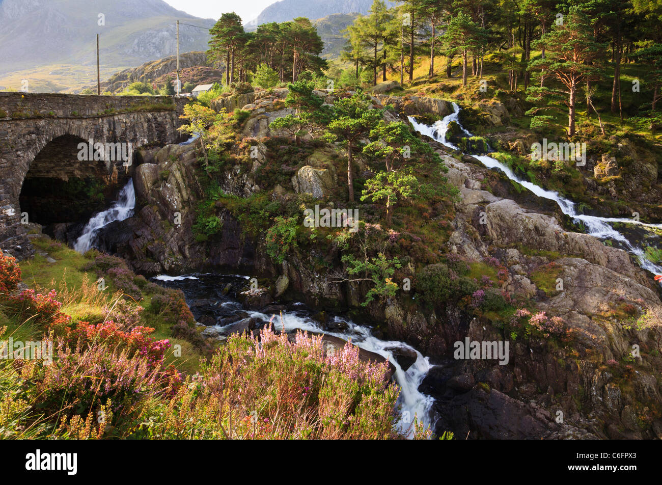 Cascata dal Pont Pen-y-benglog A5 ponte stradale sul Afon Ogwen fiume nel Parco Nazionale di Snowdonia in tarda estate. Ogwen Gwynedd North Wales UK. Foto Stock