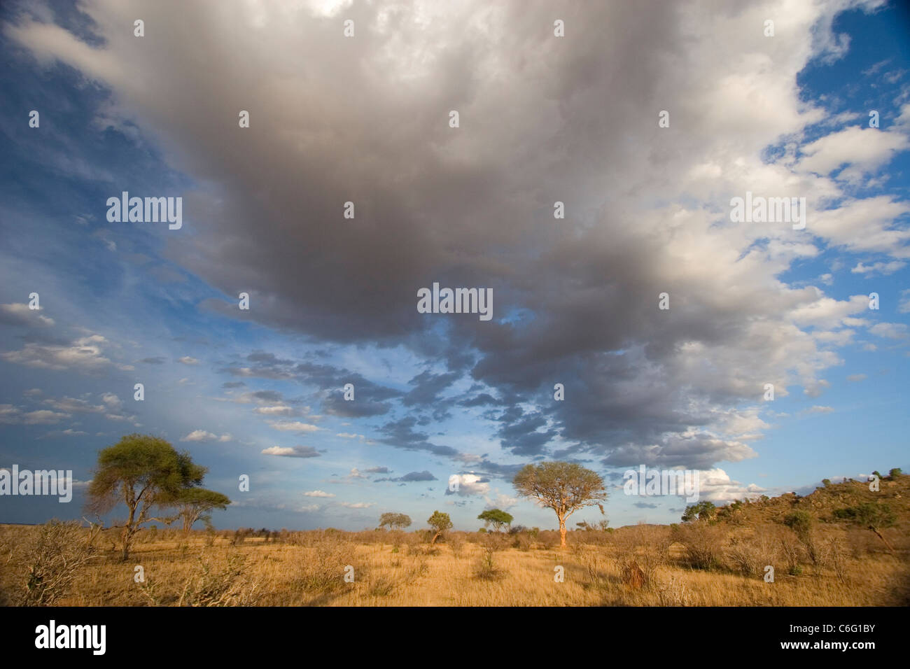Spettacolari nubi sul Tsavo Est pianure, Kenya Foto Stock