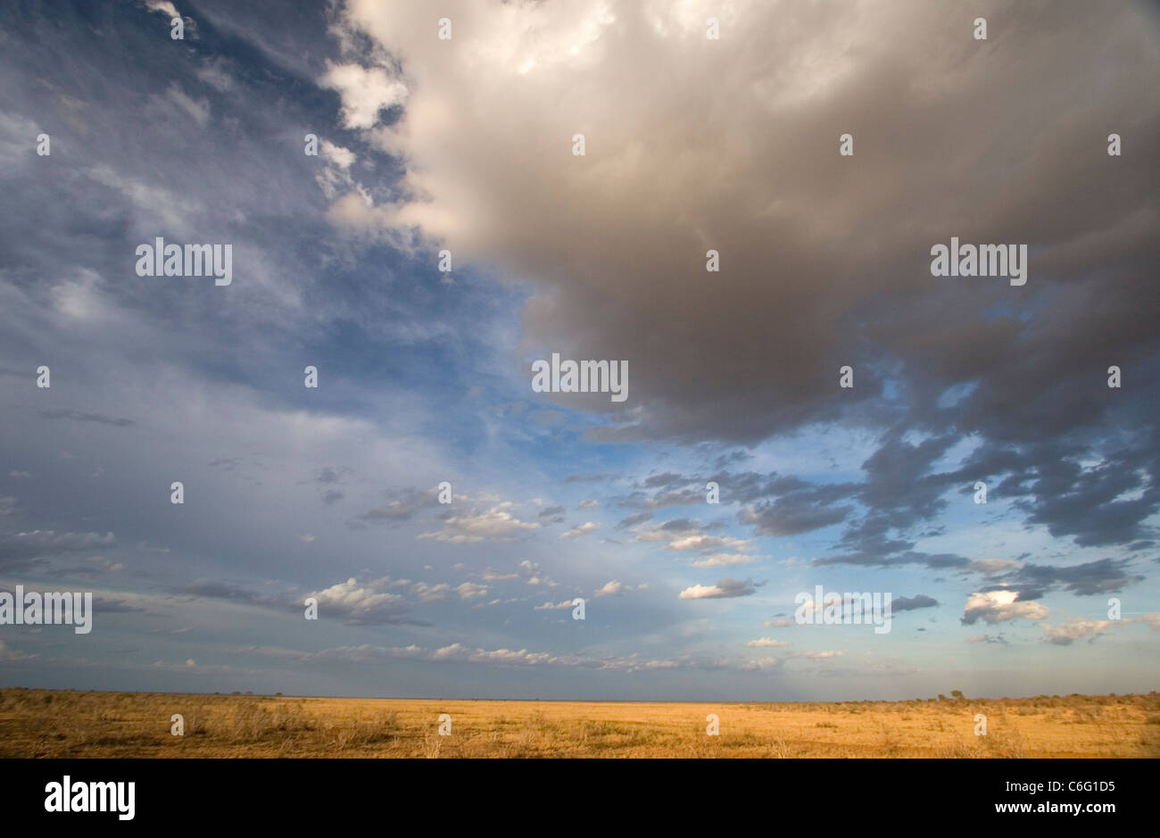 Pomeriggio di sole & spettacolari nuvole sulla pianura di Tsavo Est, Kenya Foto Stock