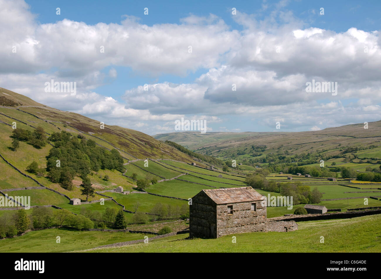 Swaledale, North Yorkshire England Regno Unito Foto Stock