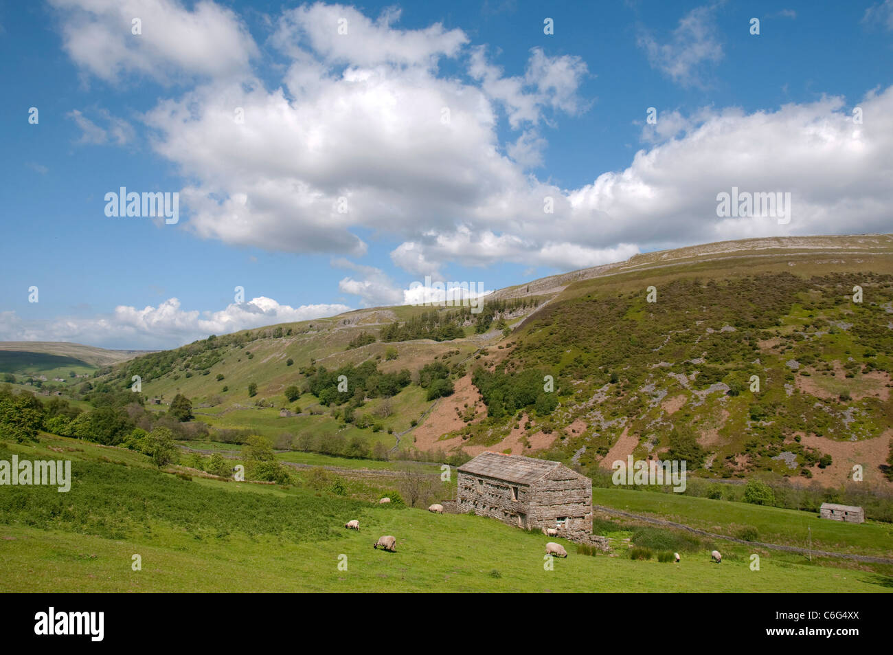 Paesaggio rurale nei pressi di Keld in Swaledale, North Yorkshire England Regno Unito Foto Stock