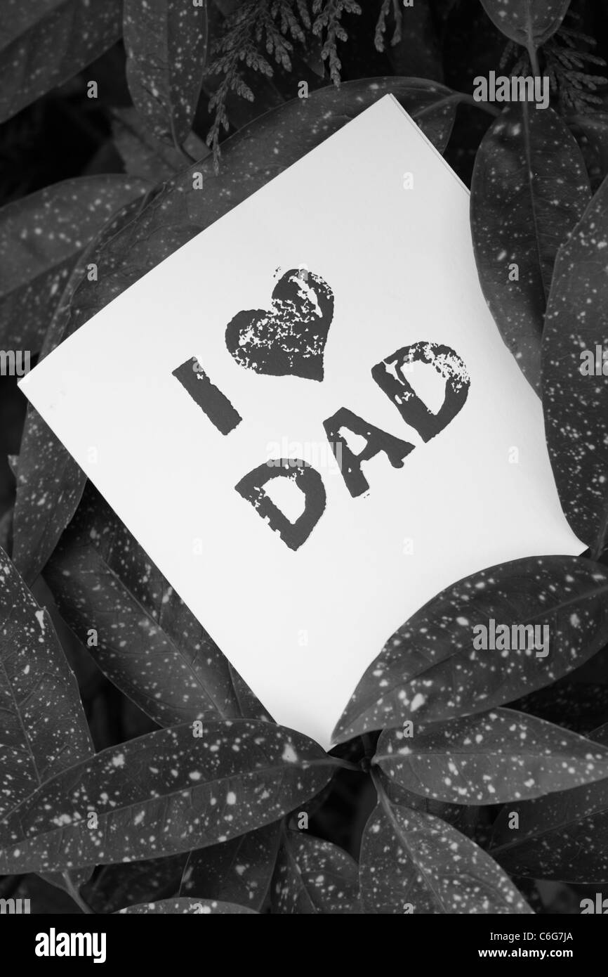 Immagine in bianco e nero di una carta dire ti amo papà Foto Stock