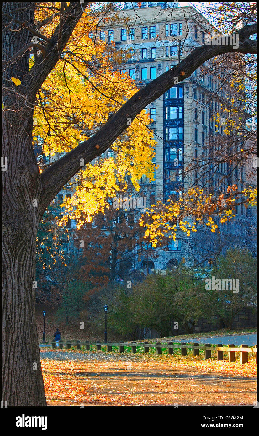 Prasada 50 central park west dal Central Park in autunno Foto Stock