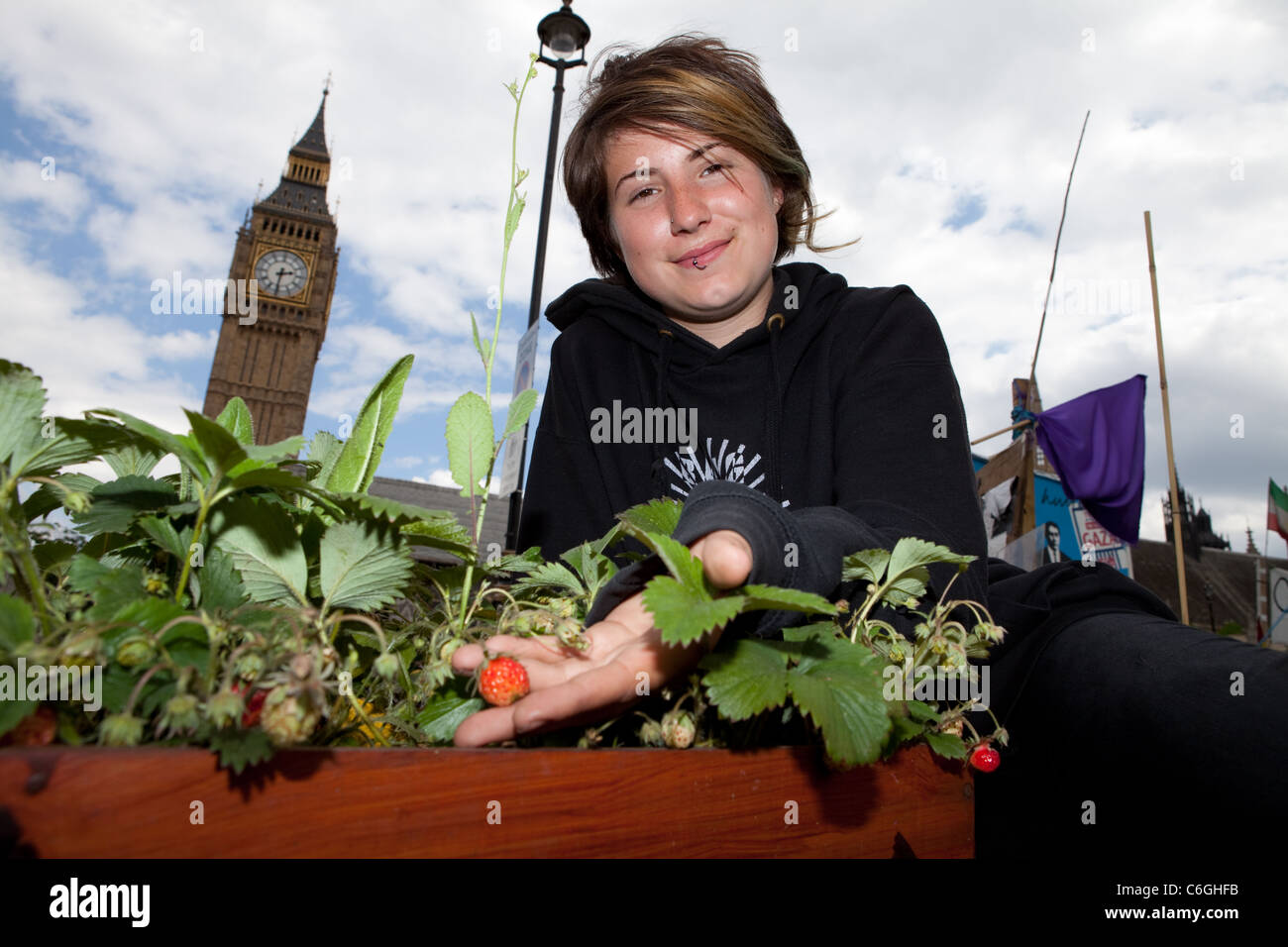 La democrazia Village camper Becca Hall è raffigurato nella pace il giardino, un Guerrilla Gardening progetto iniziato dai manifestanti. Foto Stock