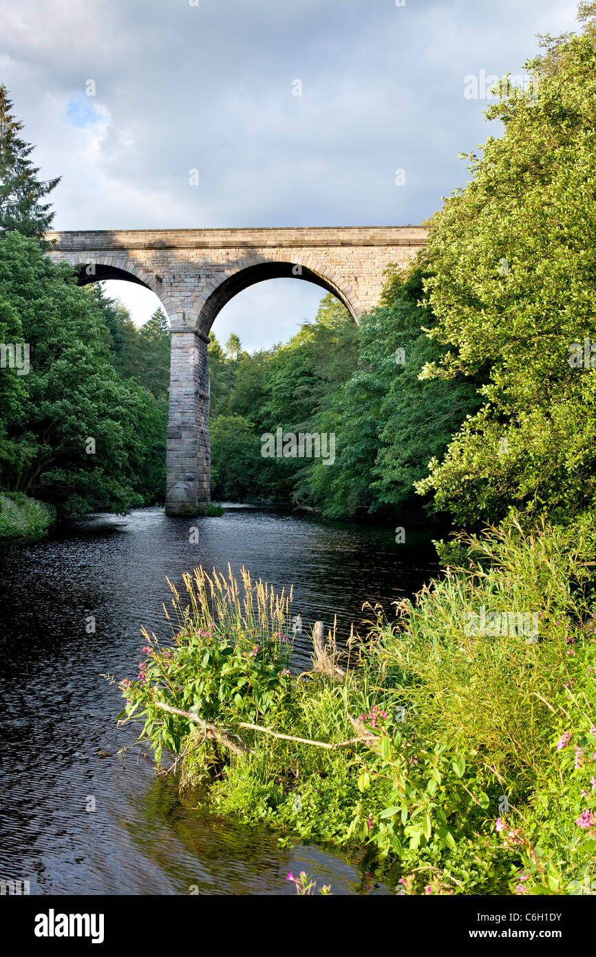 In disuso Nidd il viadotto in Nidd Gorge vicino a Knaresborough, North Yorkshire. Foto Stock