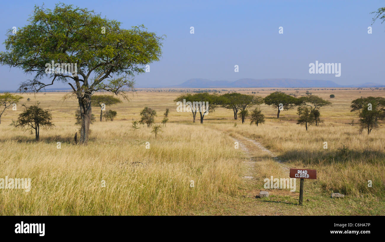 Strada chiusa al Parco Nazionale del Serengeti Foto Stock