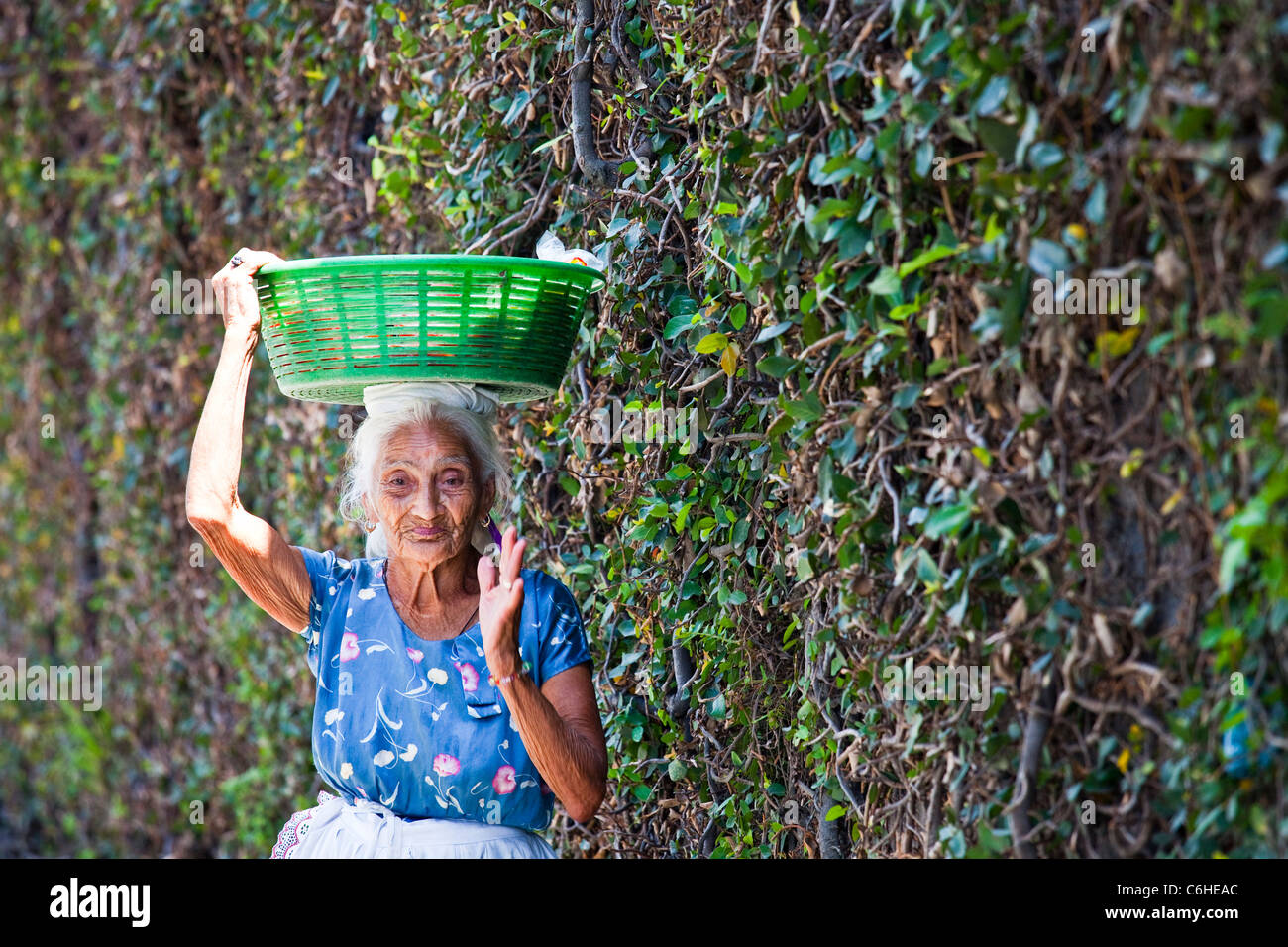 Donna anziana vendono frutta fresca in San Salvador El Salvador Foto Stock