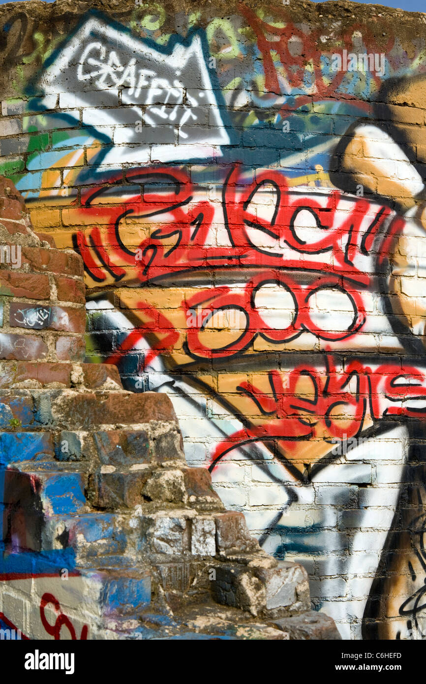 Graffiti - Fiume Arts District - Asheville, North Carolina, STATI UNITI D'AMERICA Foto Stock