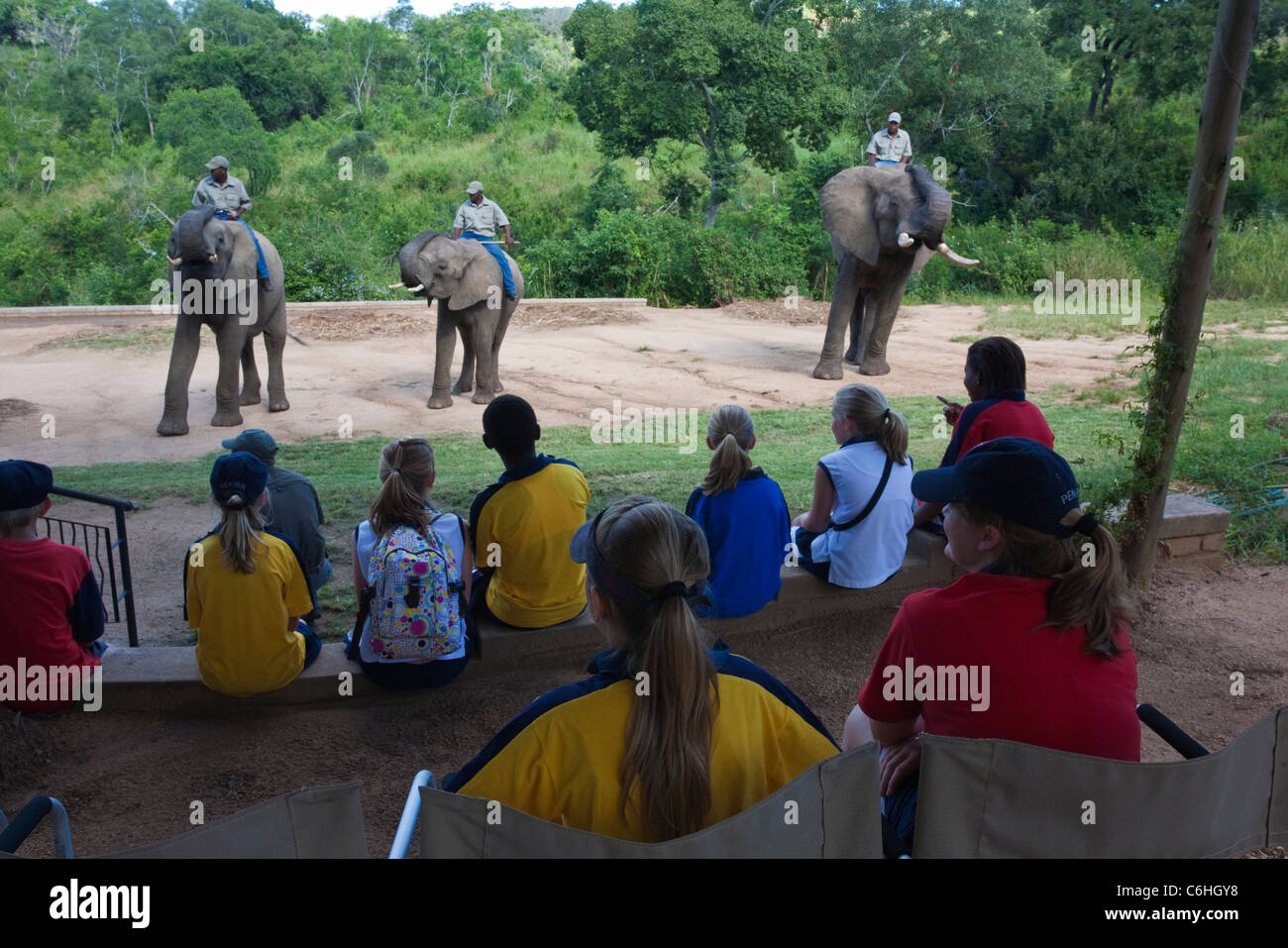 Bambini in gita scolastica a Elephant sussurra - Abituare gli elefanti salvato da pianificate operazioni di abbattimento Foto Stock
