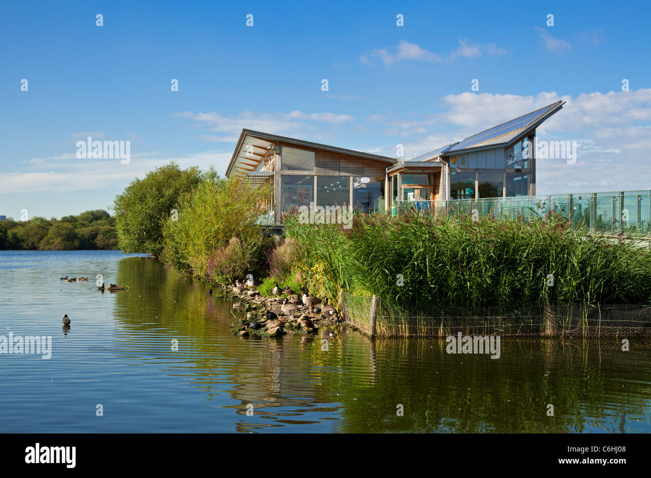 Attenborough centro natura Nottingham England Regno Unito GB EU Europe Foto Stock