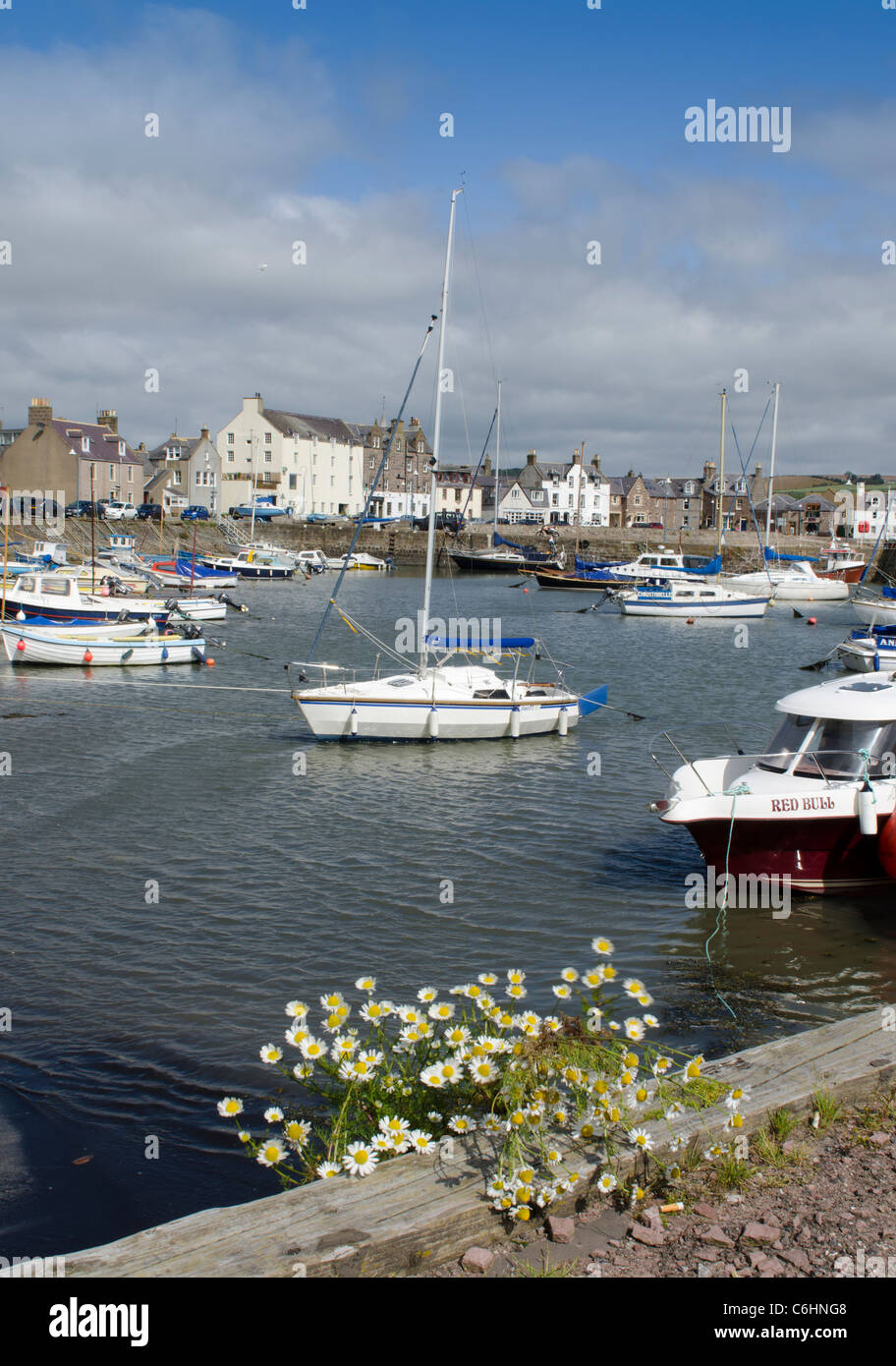 Tempo Libero imbarcazioni fino al porto di Stonehaven - Kincardienshire Foto Stock