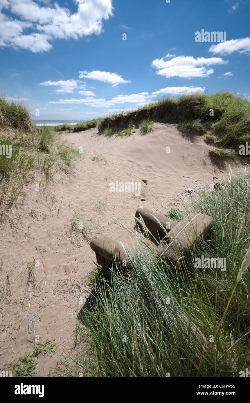Weathered armchairin dune di sabbia a San Ciro Riserva Naturale Kincardineshire Foto Stock