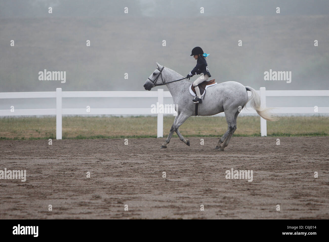 Un cavallo e cavaliere cantering su una mattinata nebbiosa durante uno spettacolo di cavalli. Foto Stock