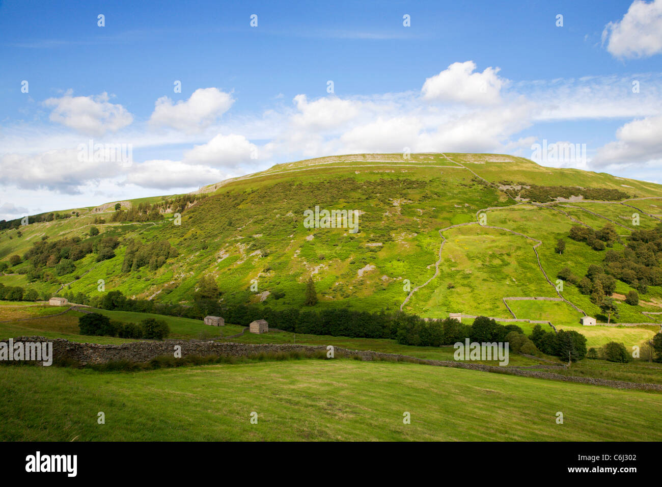 Kisdon Hill Swaledale superiore Yorkshire Dales Inghilterra Foto Stock