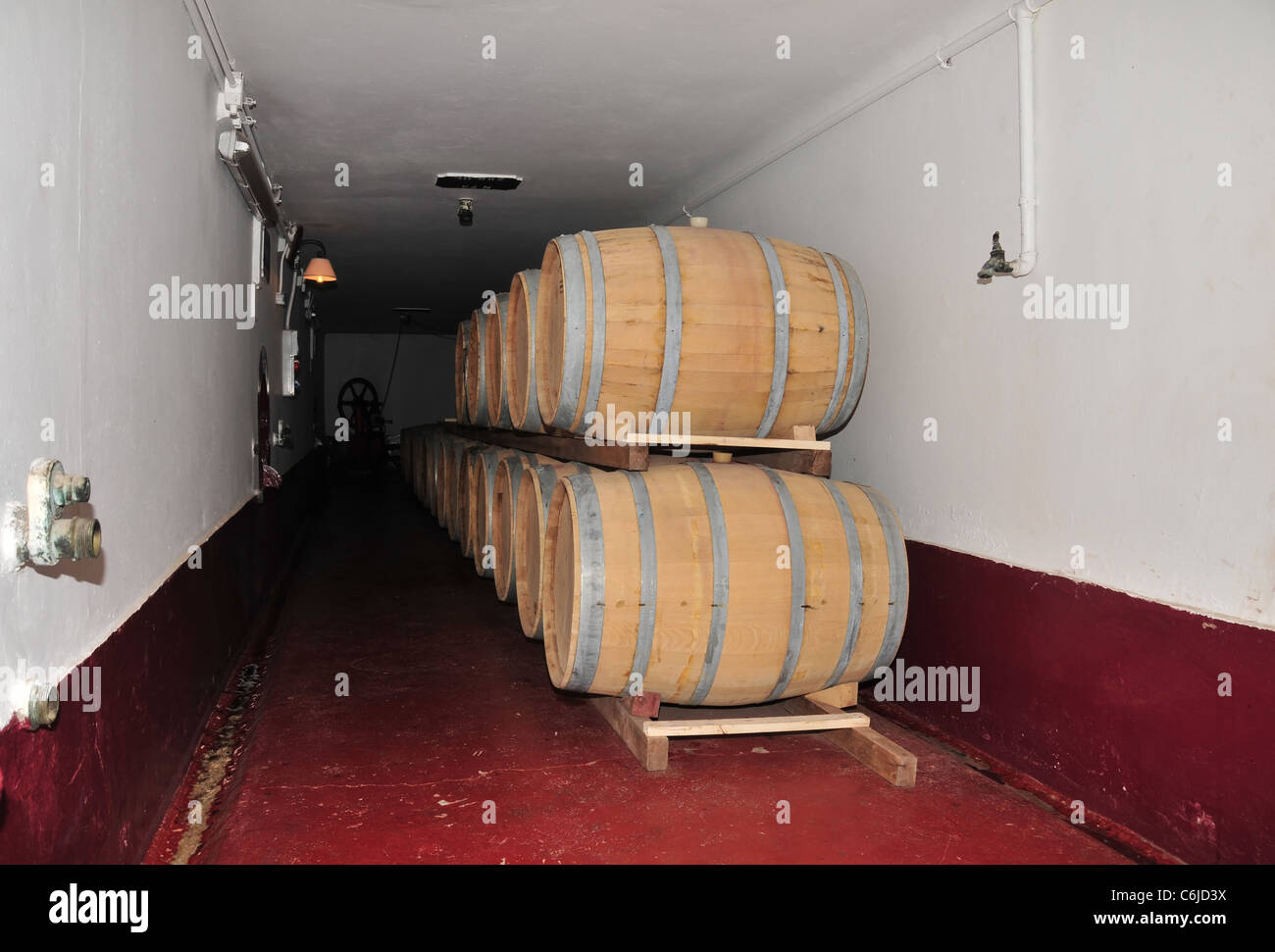 17 botti di rovere impilati in un lungo e stretto bianco rosso cantina, Carmine Granata Cantina, Mendoza, Argentina Foto Stock