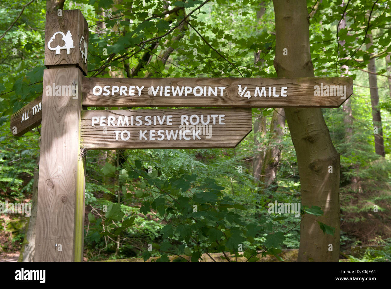 Per Footpah Osprey view point a Dodd legno, Parco Nazionale del Distretto dei Laghi, Cumbria, Inghilterra. Foto Stock