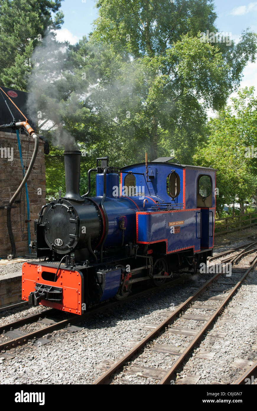 Motore a vapore sul South Tynedale Railway, Alston, Cumbria, Inghilterra. Foto Stock