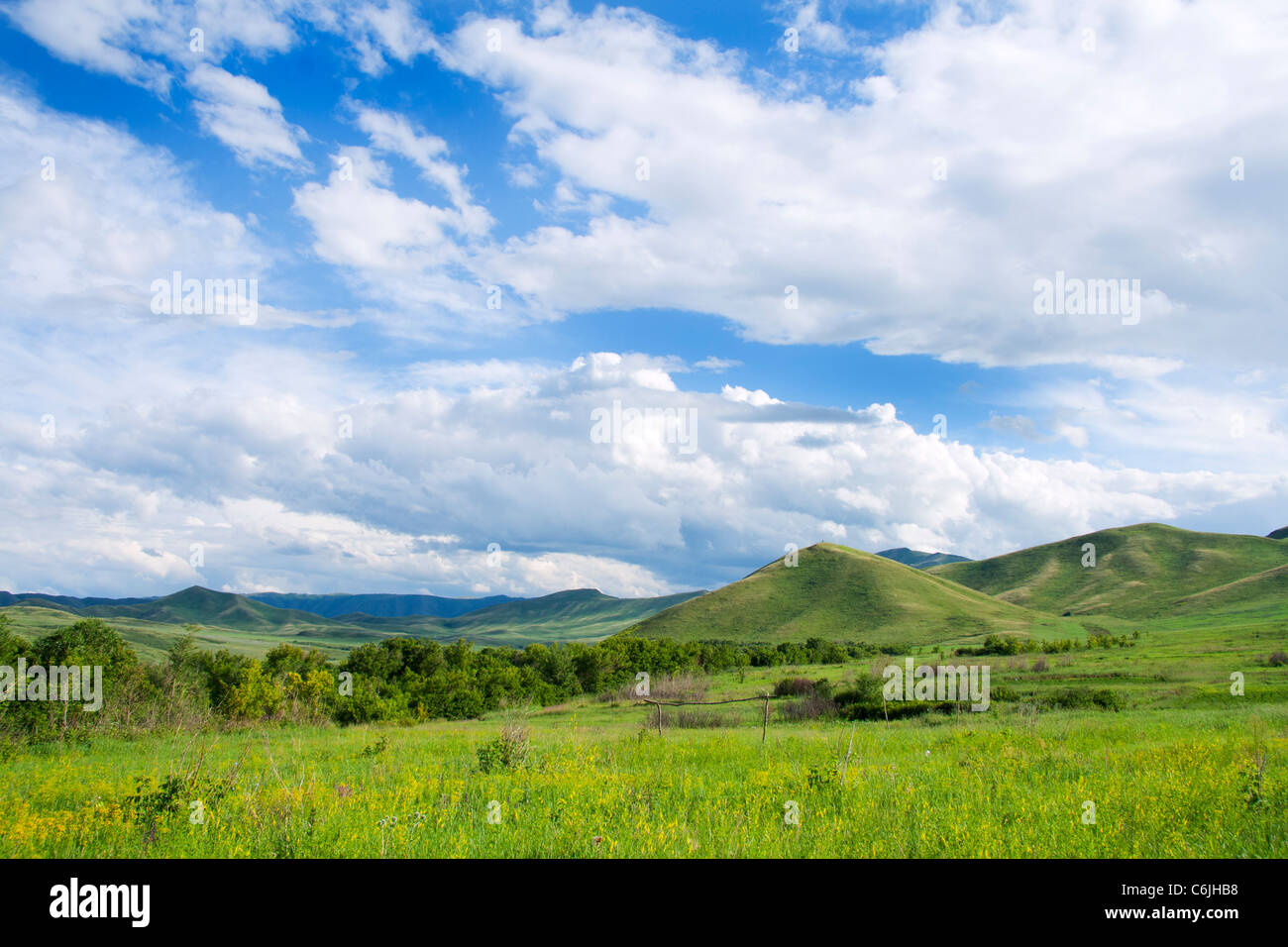 Campo verde e un cielo blu con nuvole. Foto Stock