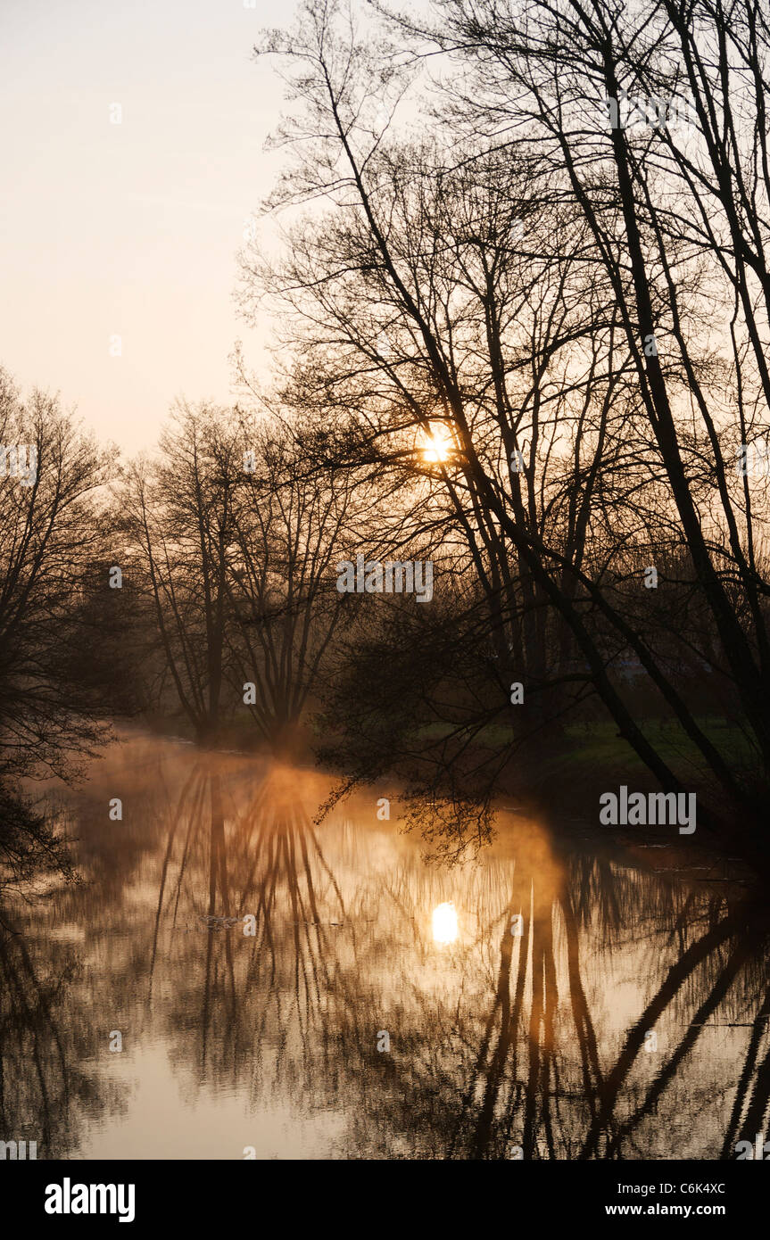 Sunrise e un po' di nebbia su di un braccio laterale del canal du Nivernais in Chaumot (Nièvre). Foto Stock