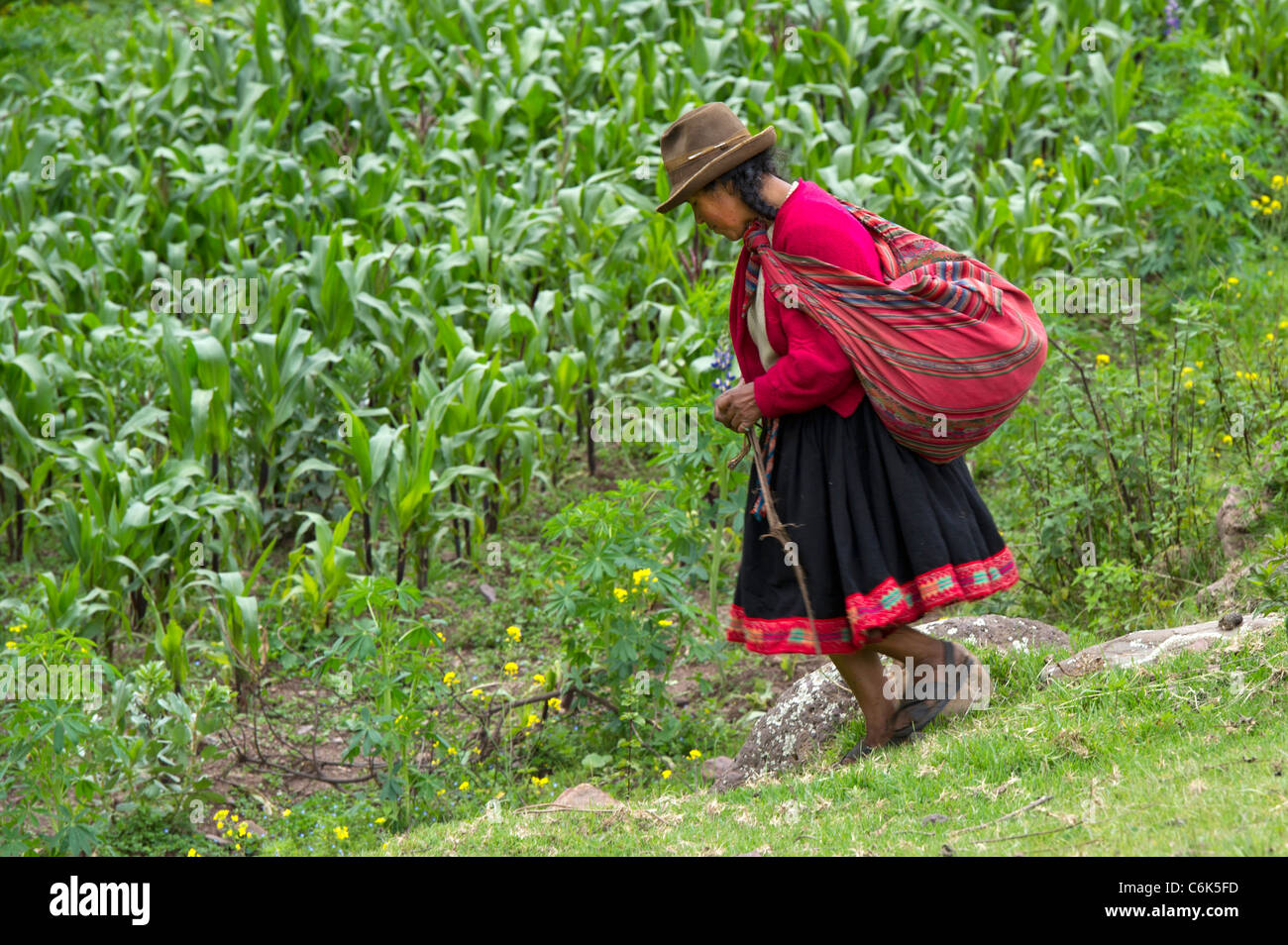 Agricoltore il lavoro nel campo, la Valle Sacra, regione di Cusco, Perù Foto Stock