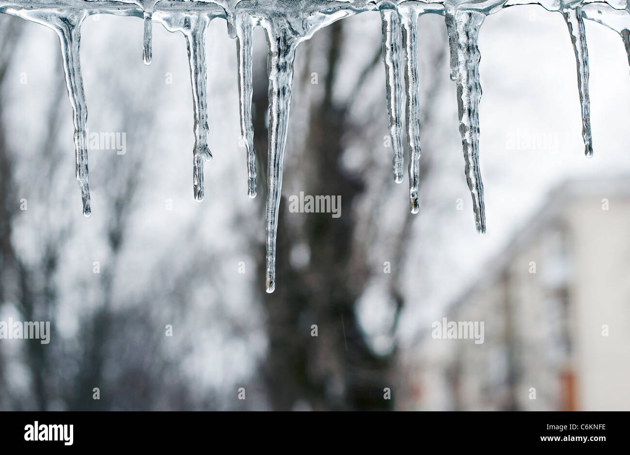 Lo scongelamento ghiaccioli contro uno sfondo di alberi e case Foto Stock