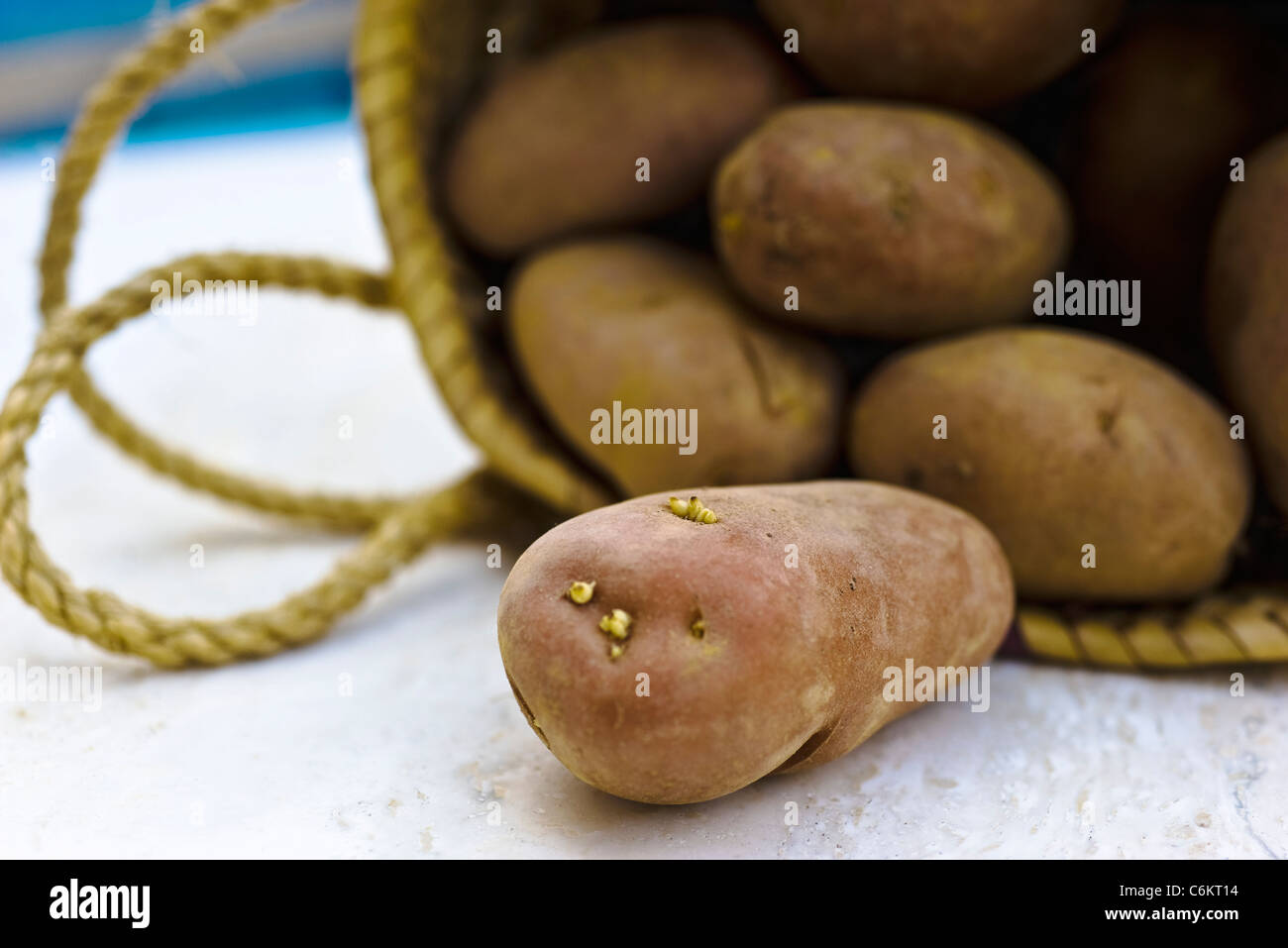 Materie di patate la fuoriuscita del sacco Foto Stock