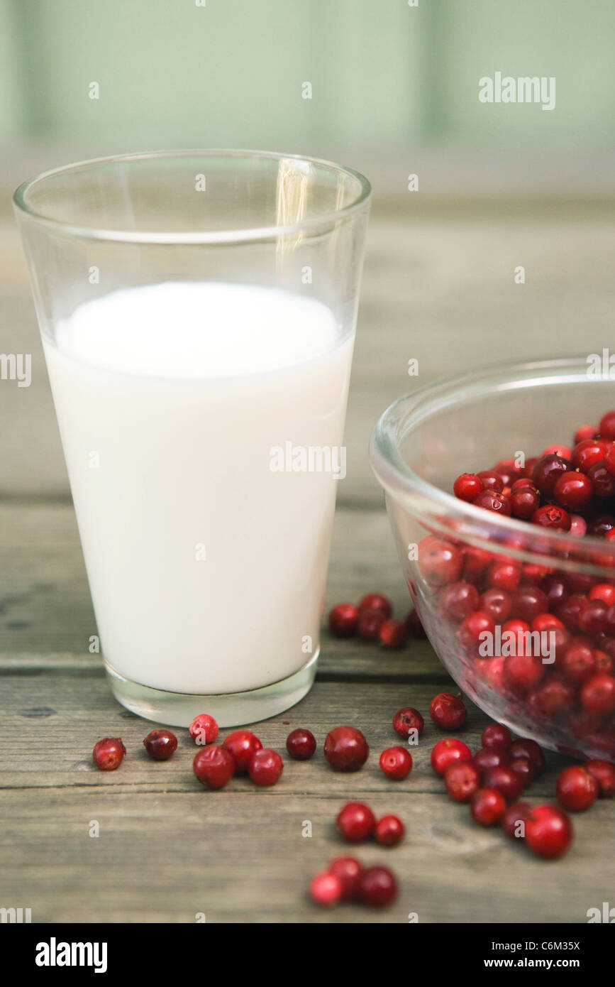 Lingonberries con bicchiere di latte Foto Stock