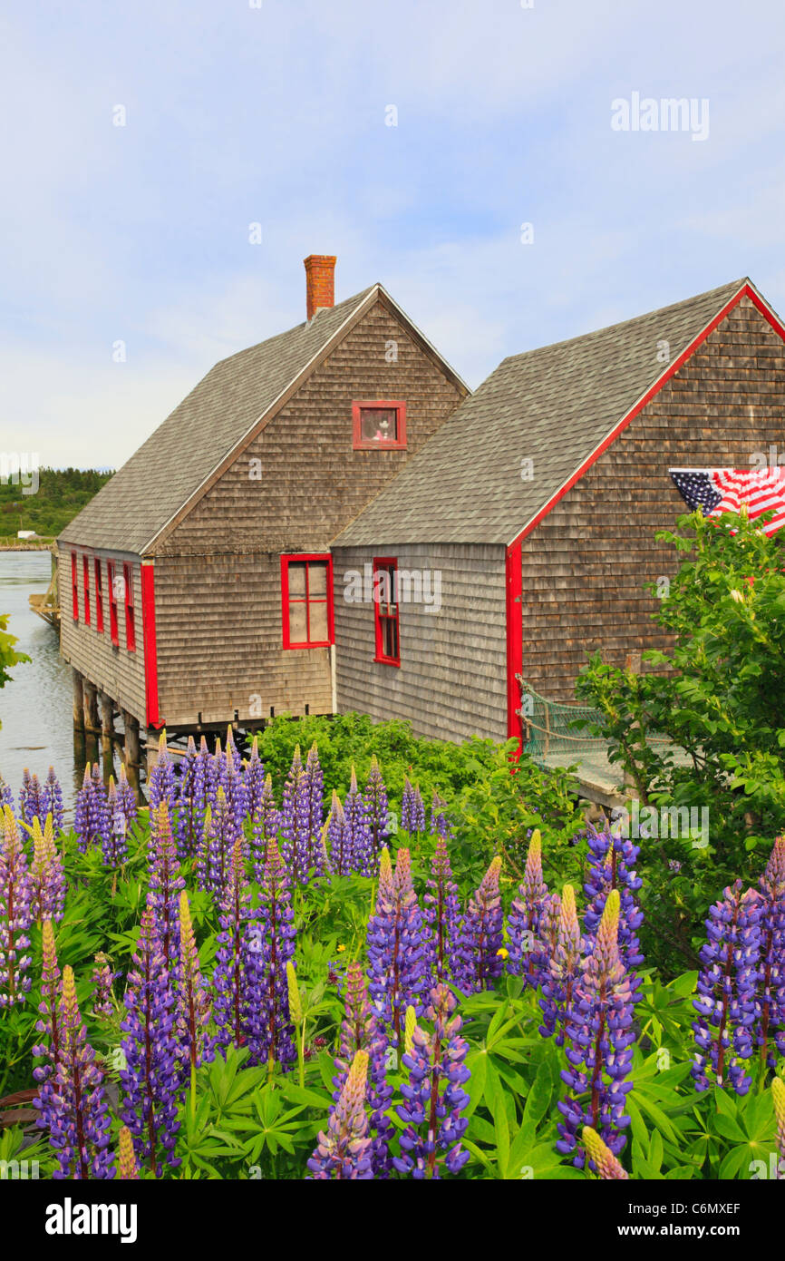 McCurdy Smokehouse Lubec, Maine, Stati Uniti d'America Foto Stock