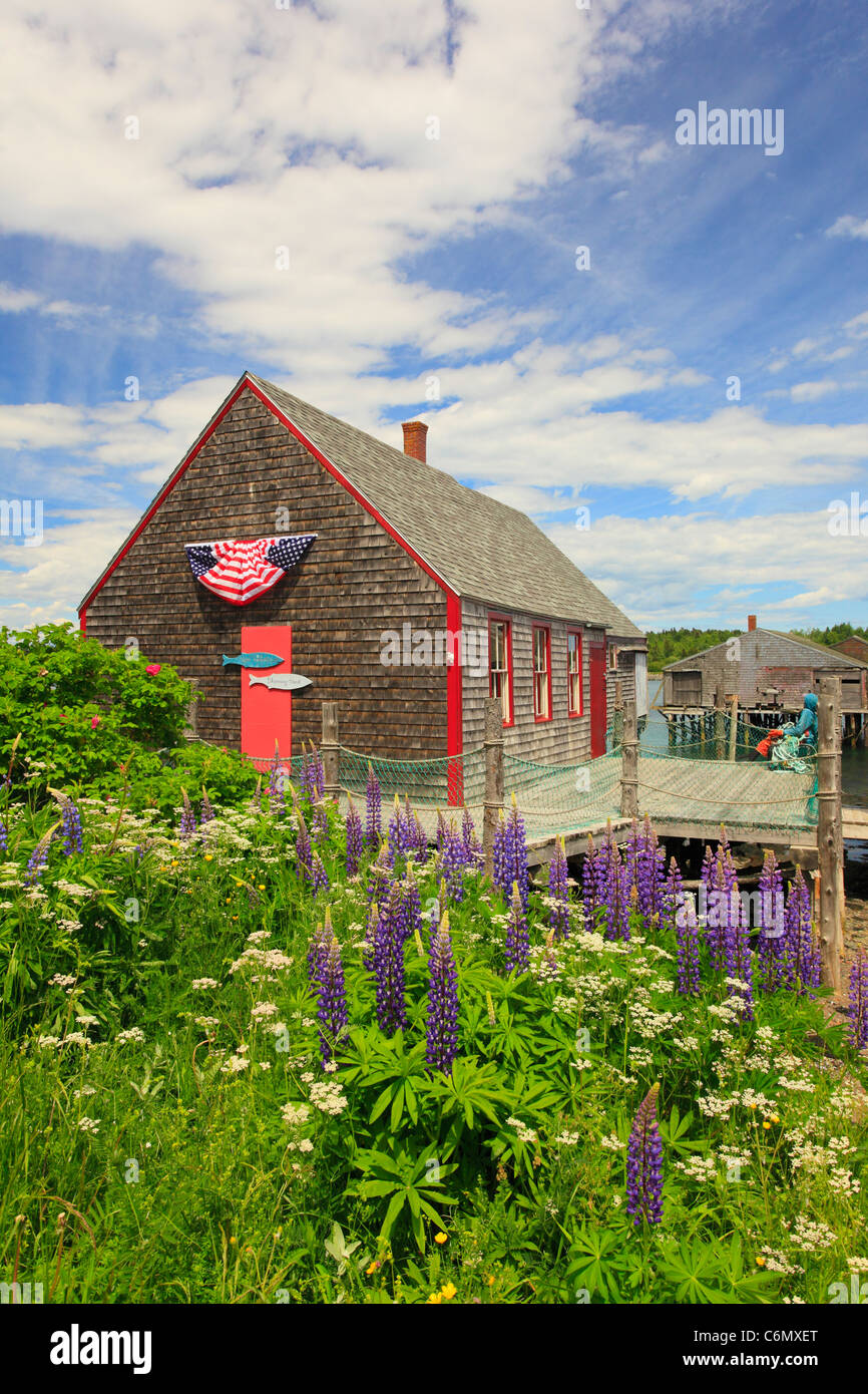 McCurdy Smokehouse Lubec, Maine, Stati Uniti d'America Foto Stock