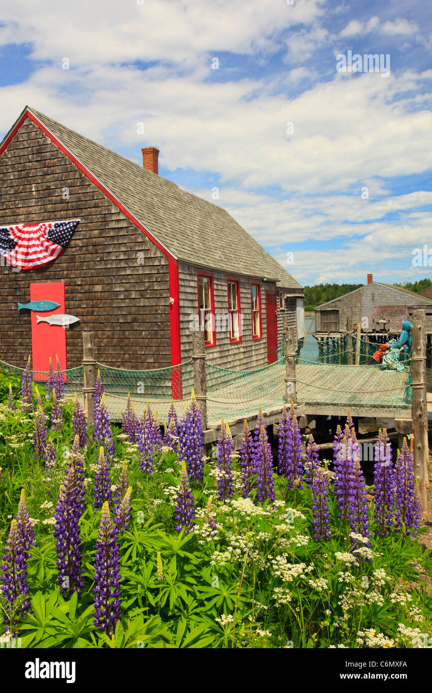 McCurdy Smokehouse Lubec, Maine, Stati Uniti d'America Foto Stock