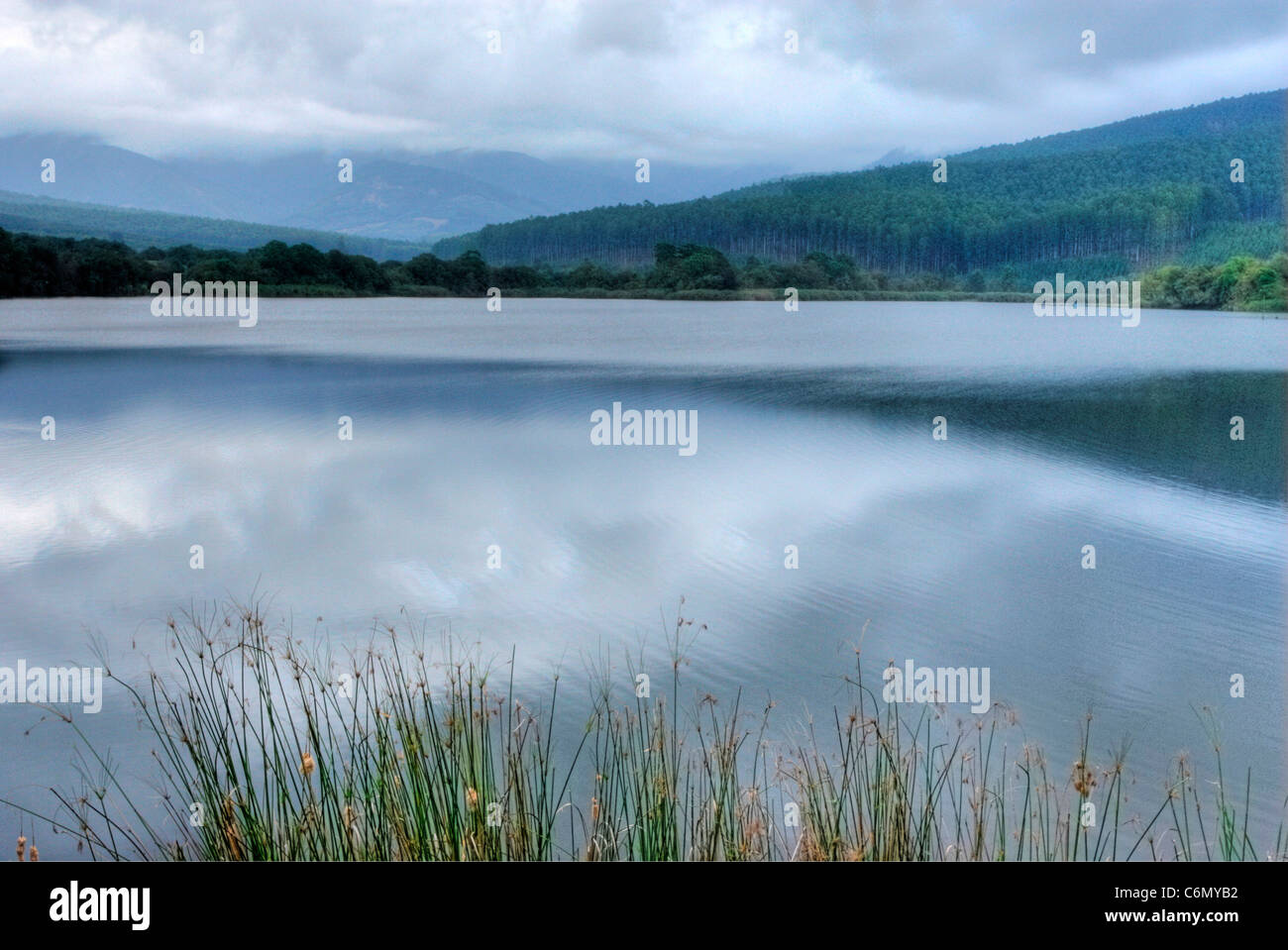 Vista sulla Ebenezer dam in Limpopo di piantagioni forestali a distanza Foto Stock