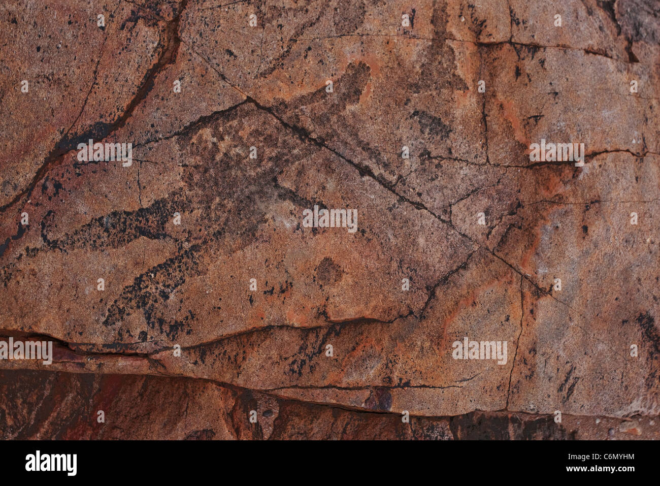Pre San incisioni rupestri scavate nella roccia. Koranaberg Foto Stock
