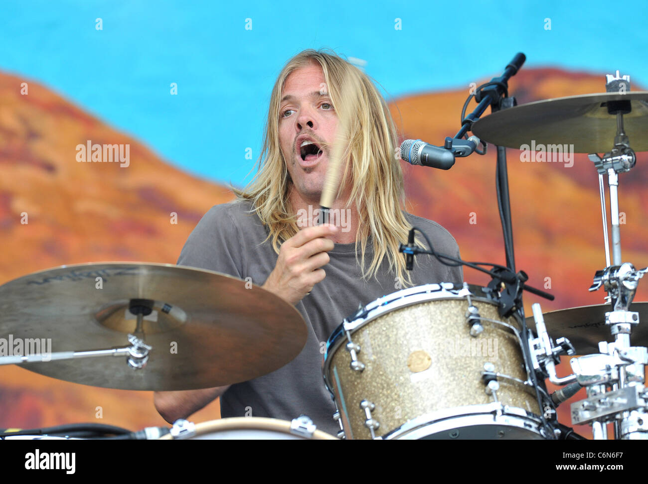 Taylor Hawkins Wireless Festival tenutosi a Hyde Park. Londra, Inghilterra - 02.07.10 Daniel Deme Foto Stock