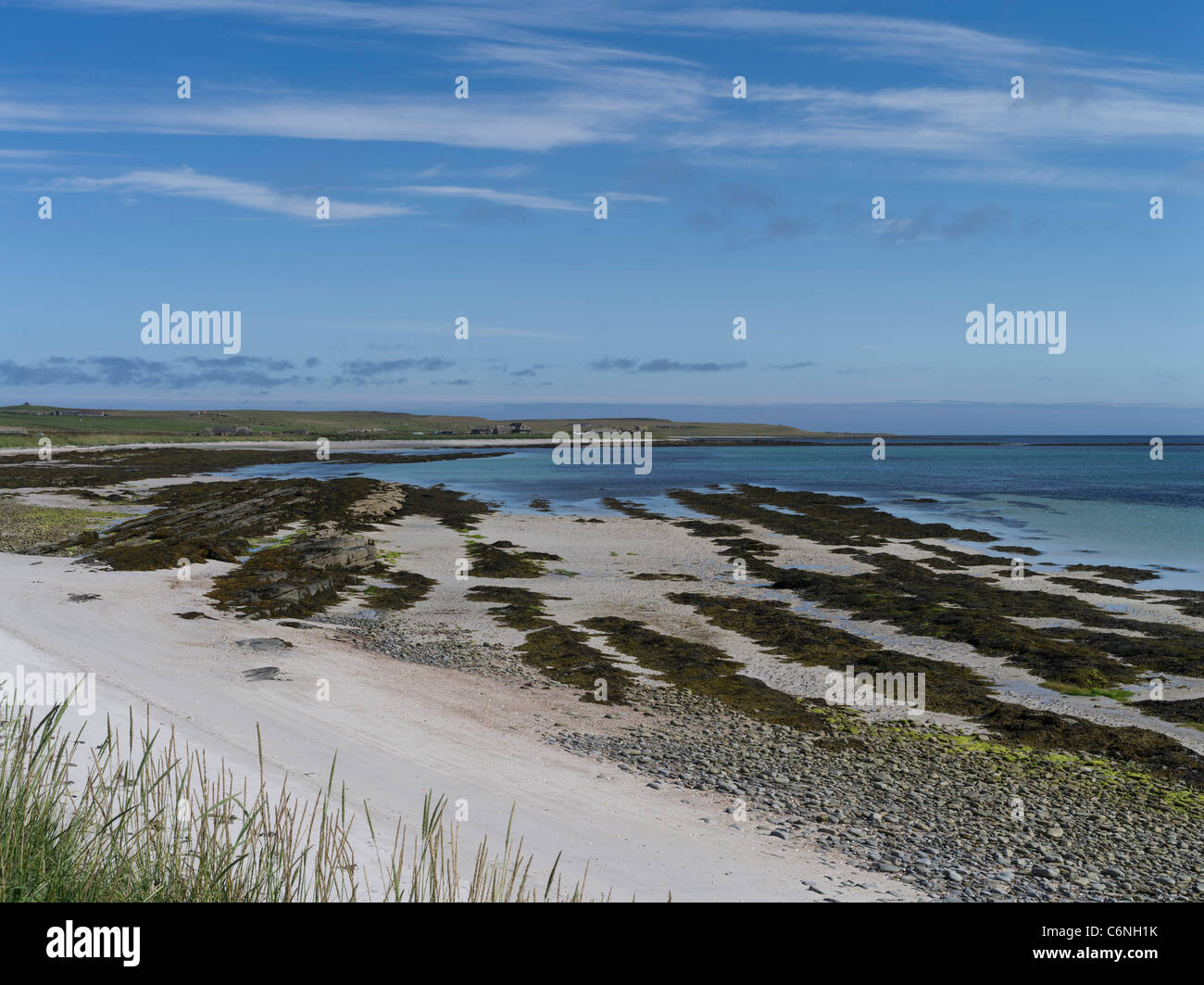 dh South Wick PAPA WESTRAY ORKNEY Scottish spiaggia di sabbia bianca promontorio costiero scozia mare del nord isola di sabbia argentata baia Foto Stock