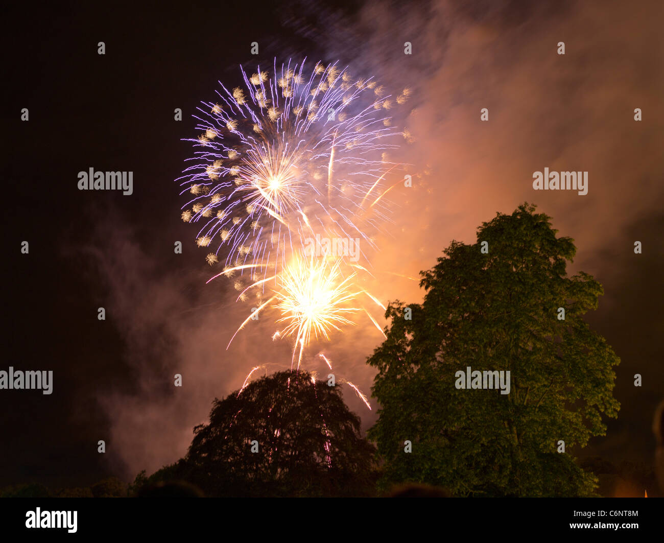 dh Bristol Balloon Fiesta ASHTON COURT BRISTOL fuochi d'artificio esposizione fuochi d'artificio UK notte fuochi d'artificio Foto Stock