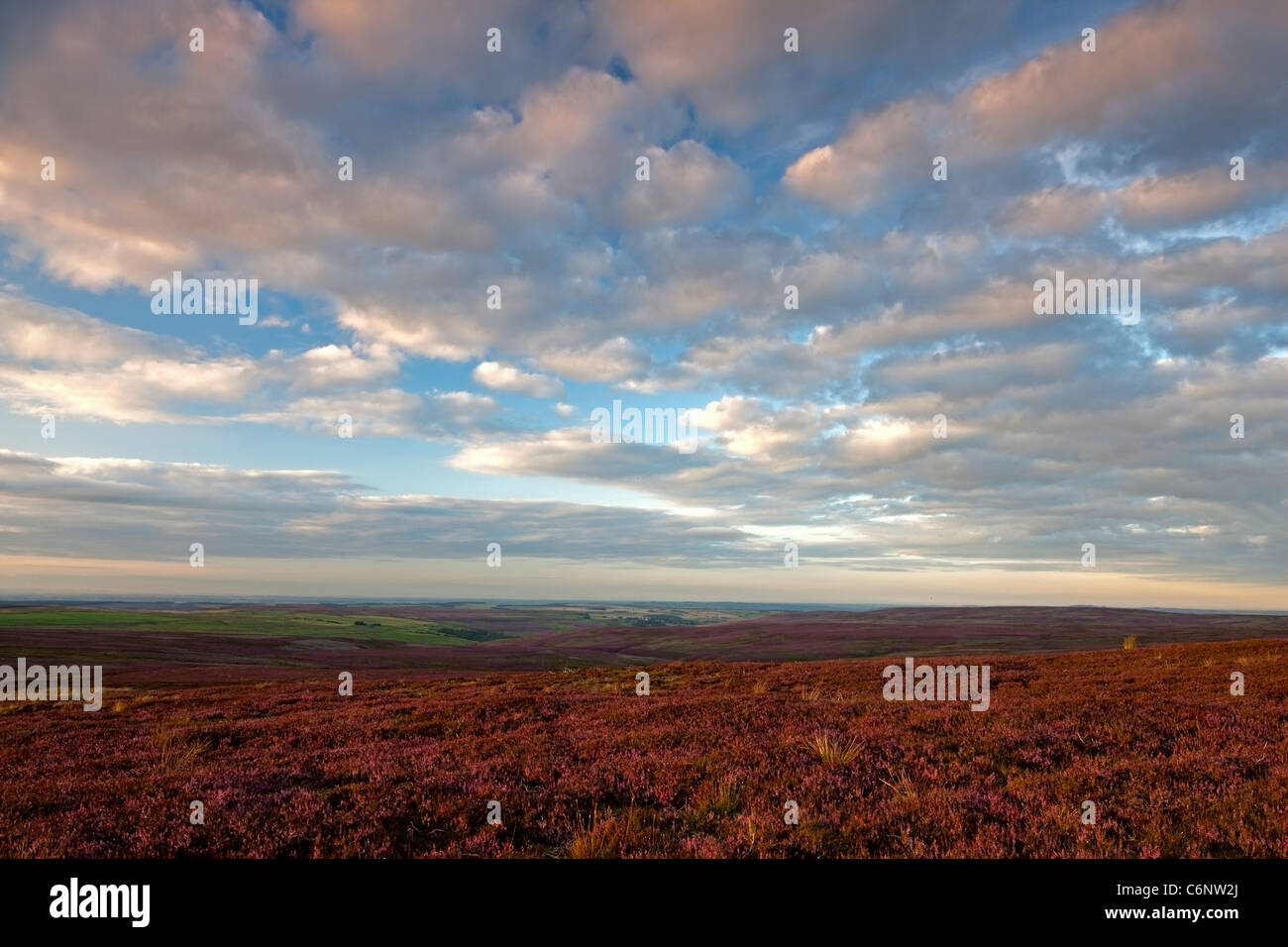 Blanchland Moor al tramonto, vicino Blanchland, Northumberland Foto Stock